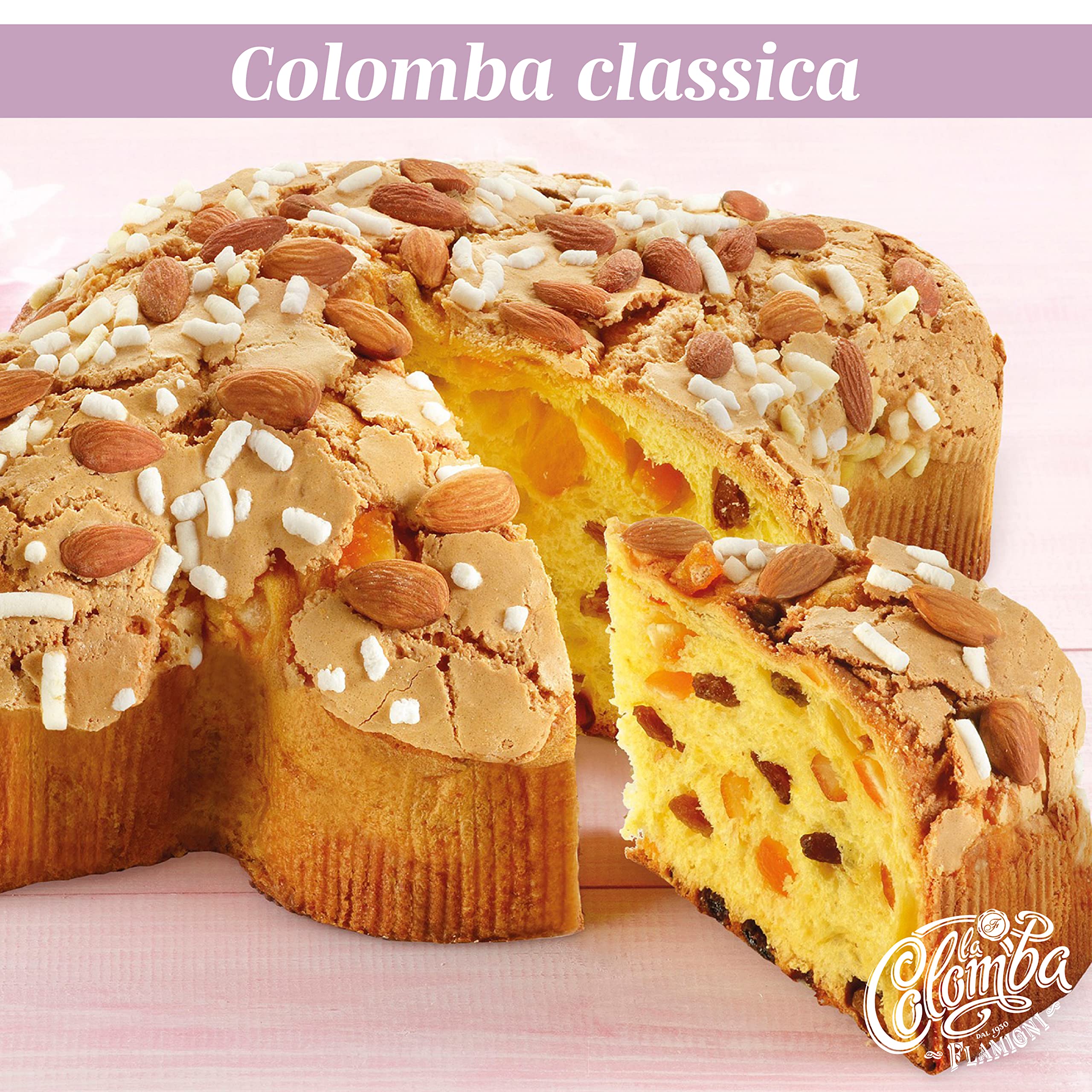 Flamigni - Klassische Artisan Colomba Cake (Taube) mit 13% kandierten Orangen und 9% Rosinen in einer herrlichen Geschenkverpackung 1KG