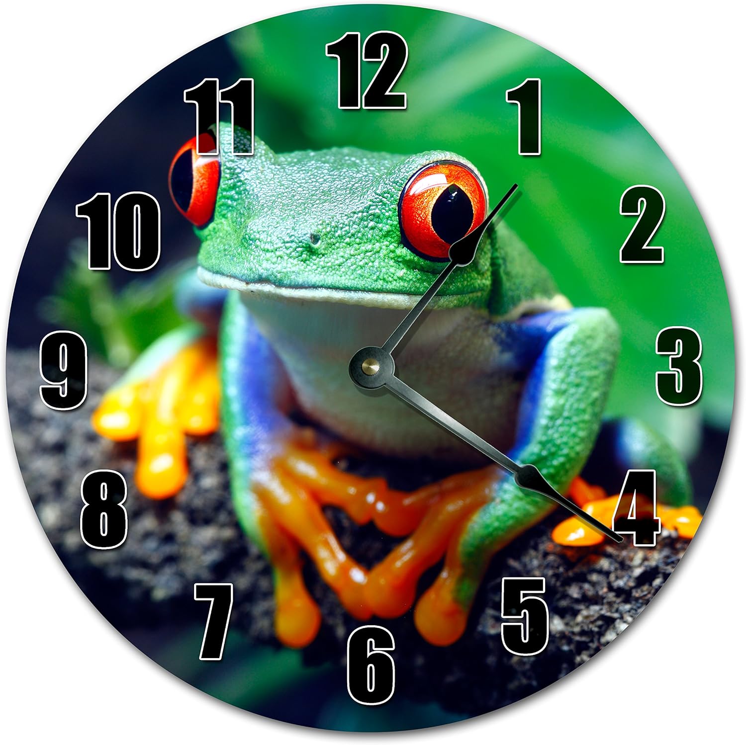 10.5" Amazon Poison Dart Frog Clock - Large 10.5" Wall Clock - Home Décor Clock