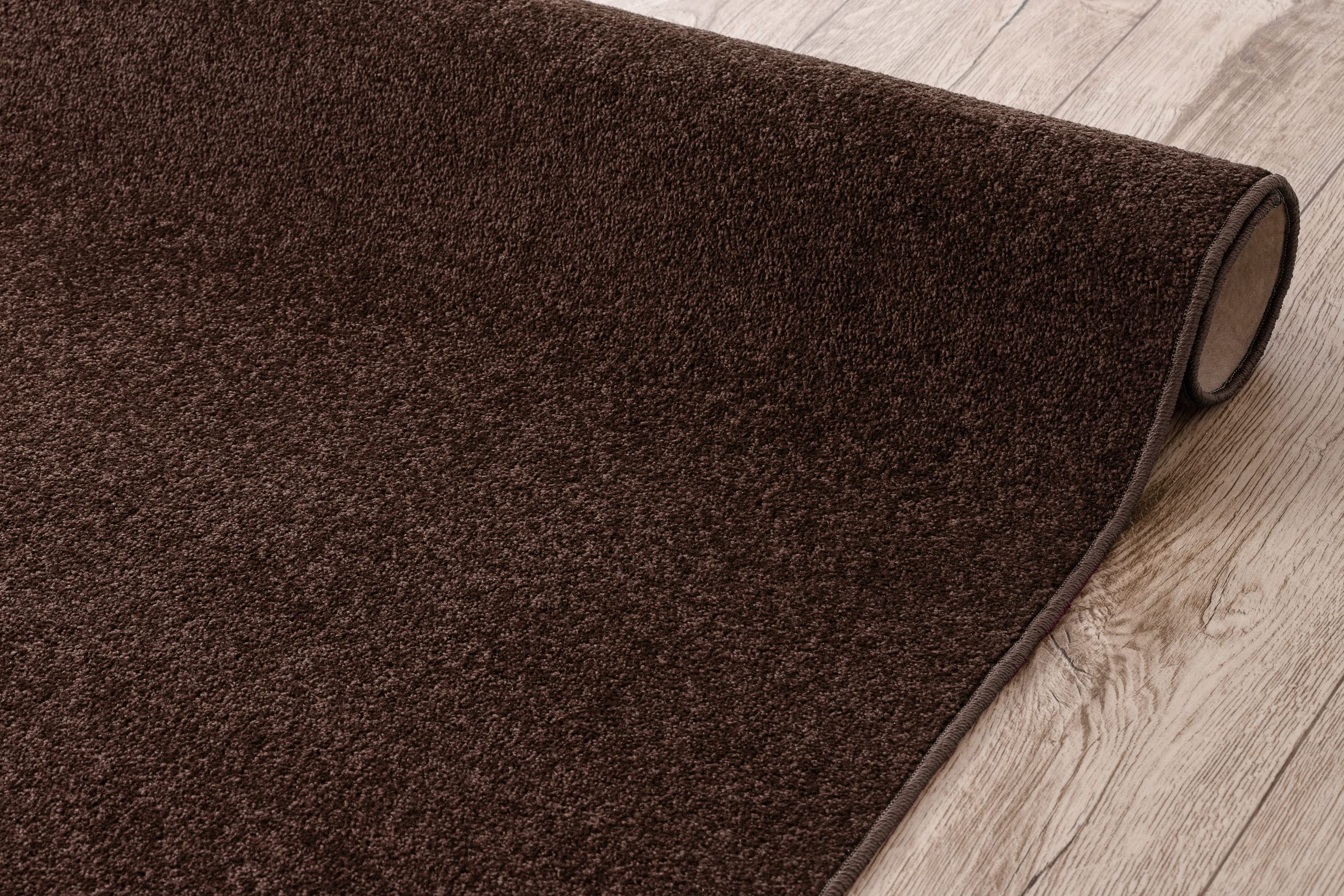 rugsx Passatoia ETON per cucina, corridoio, soggiorno, robusto, classico, marrone 90x470 cm
