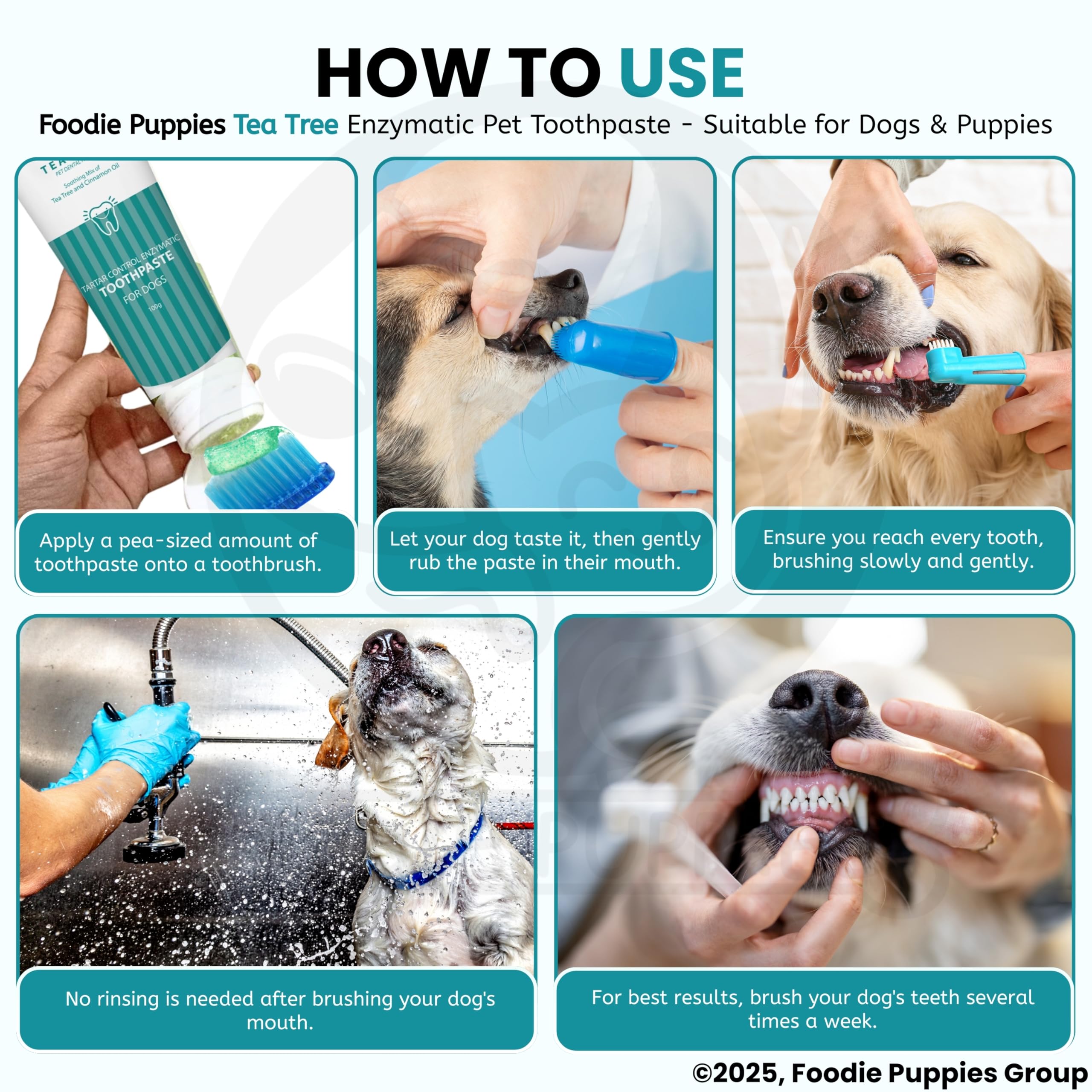 Foodie Puppies Dental Care Tea Tree Toothpaste for Dogs - 100g with Soothing Mix of Tea Tree and Cinnamon Oil | Tartar Control Enzymatic Toothpaste Suitable for All Dogs and Puppies 2
