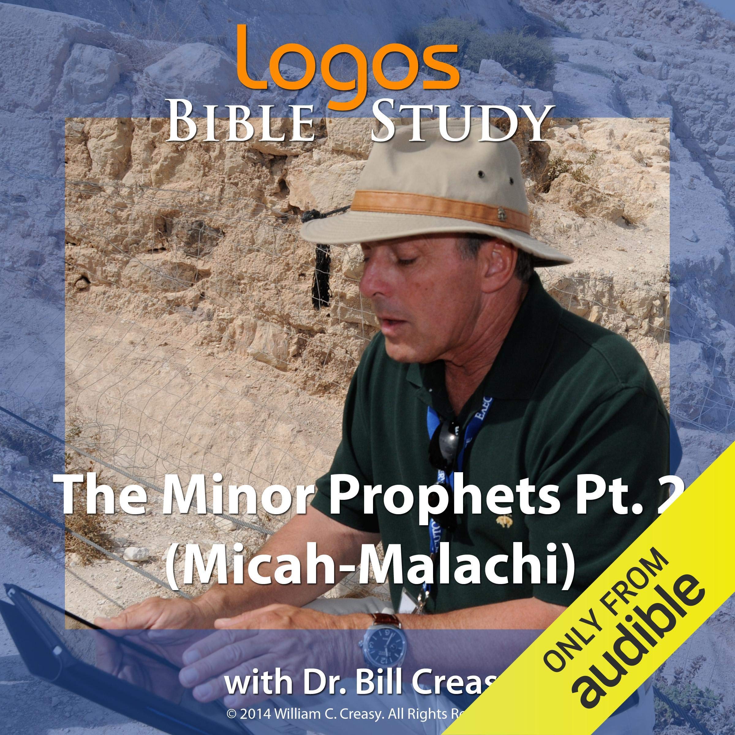 Cover art for The Minor Prophets Pt. 2 (Micah-Malachi)