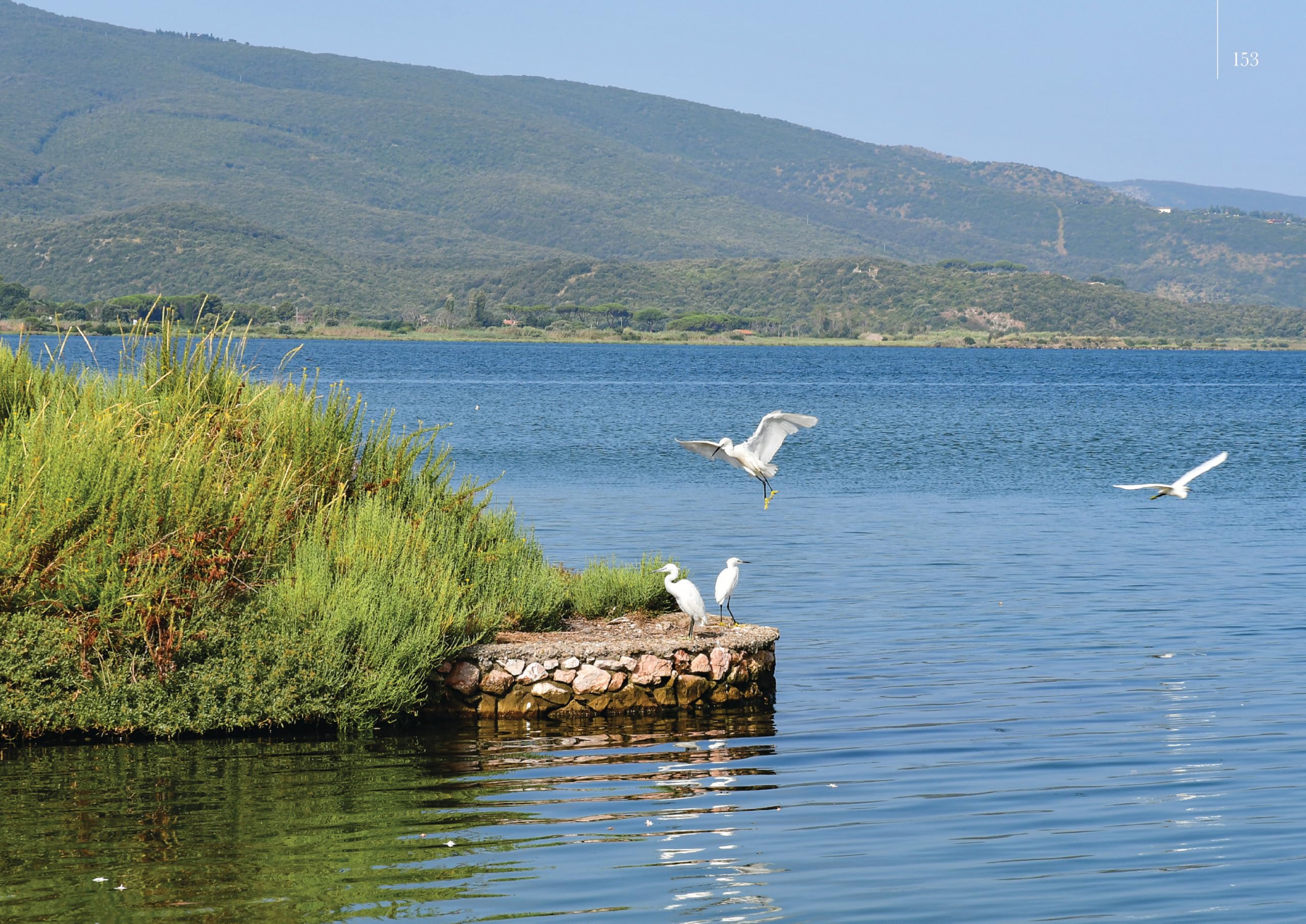 Monte Argentario tra mare e natura. Ediz. a colori