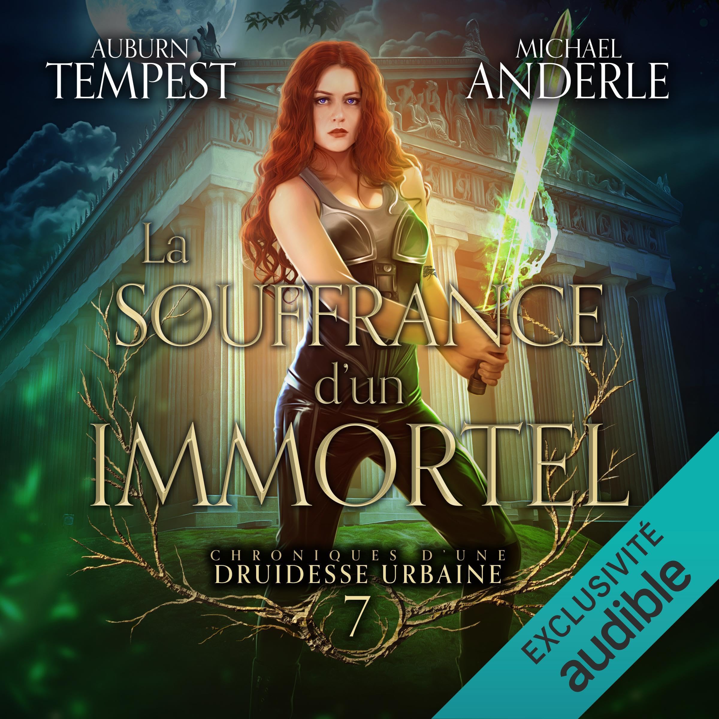 Cover art for La souffrance d'un immortel