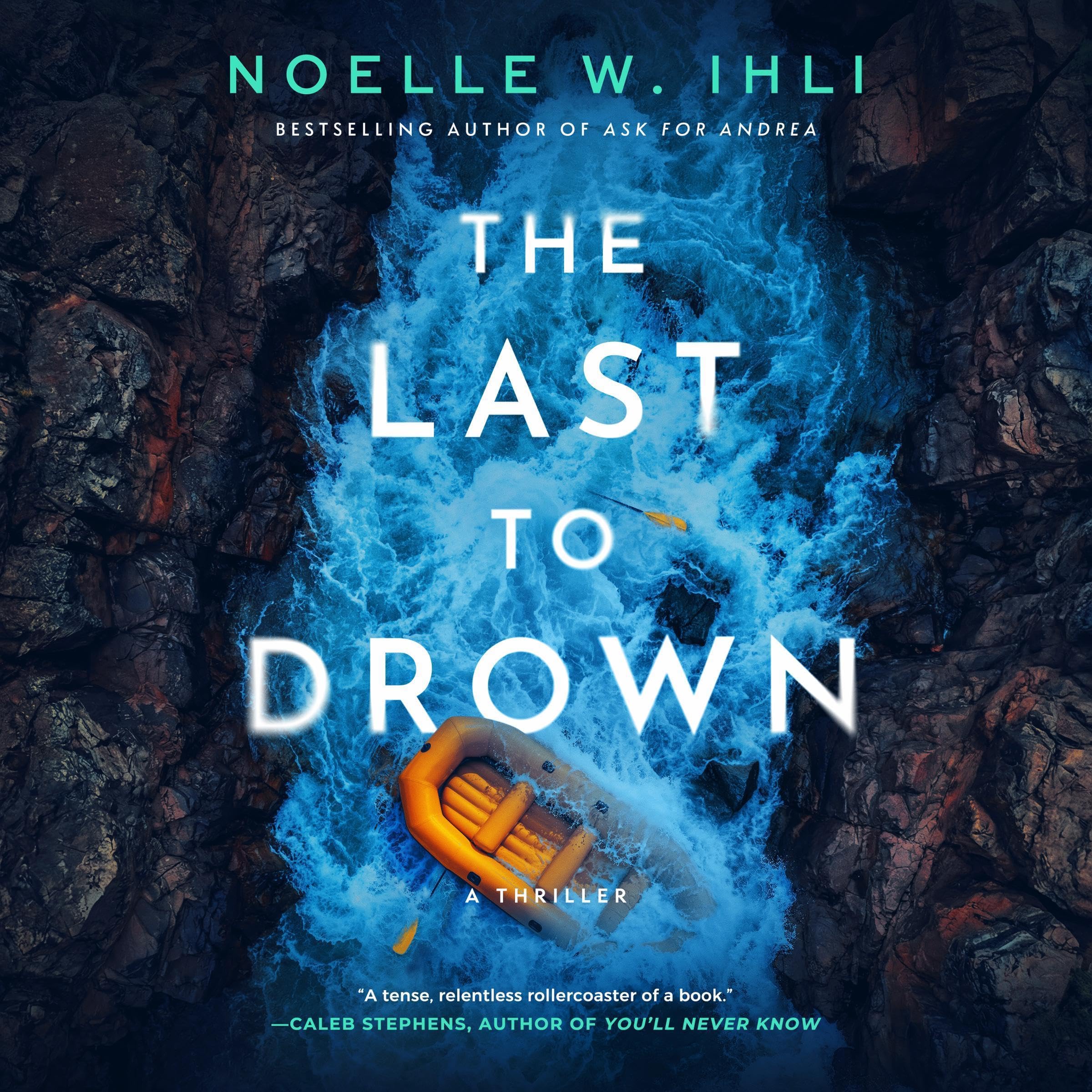 Cover art for The Last to Drown: A Thriller