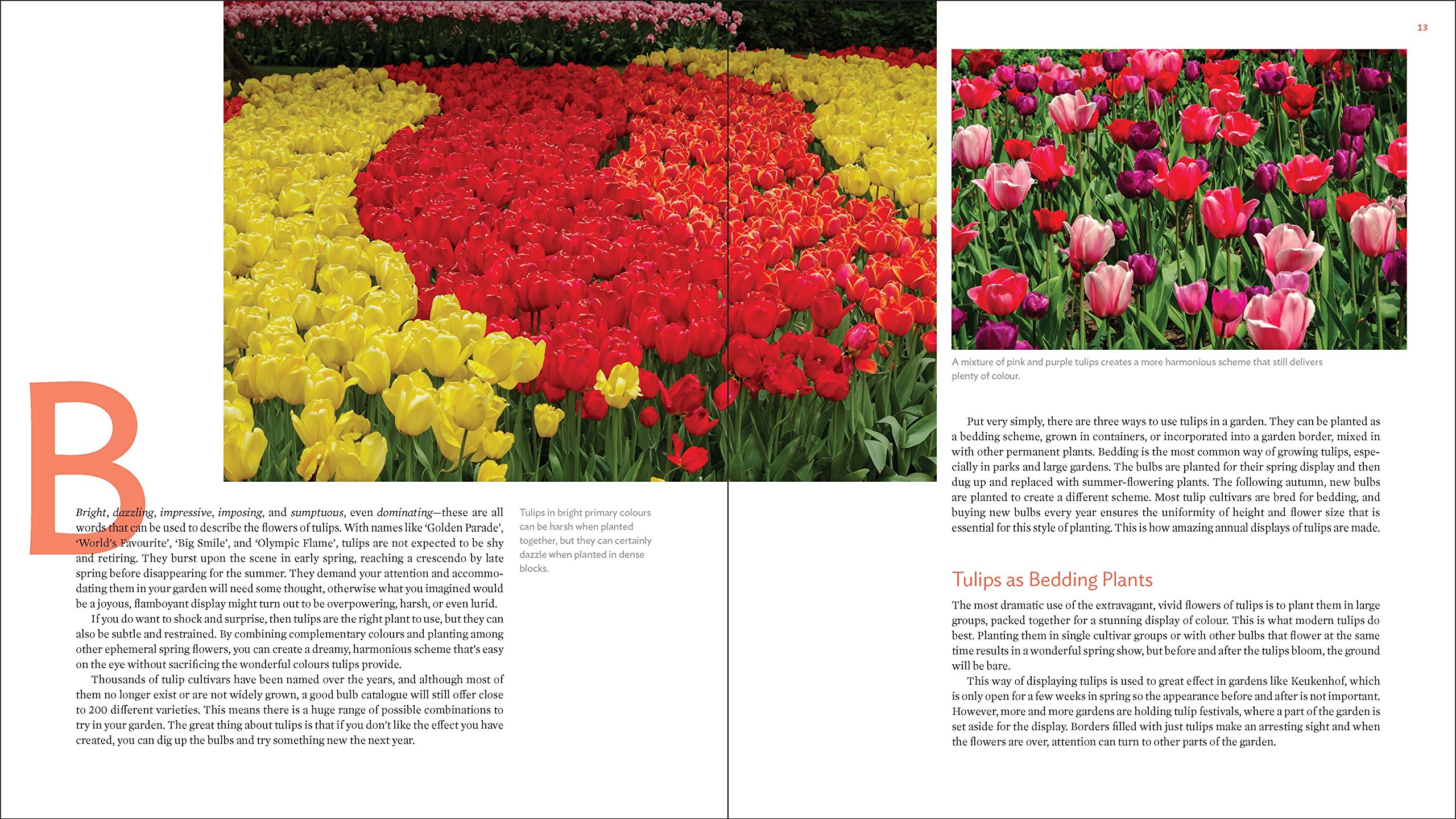 The Plant Lover's Guide to Tulips (The Plant Lover’s Guides)