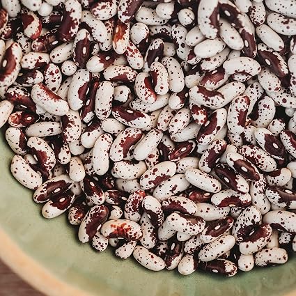 Thresh Seed Co. Jacob's Cattle Bean