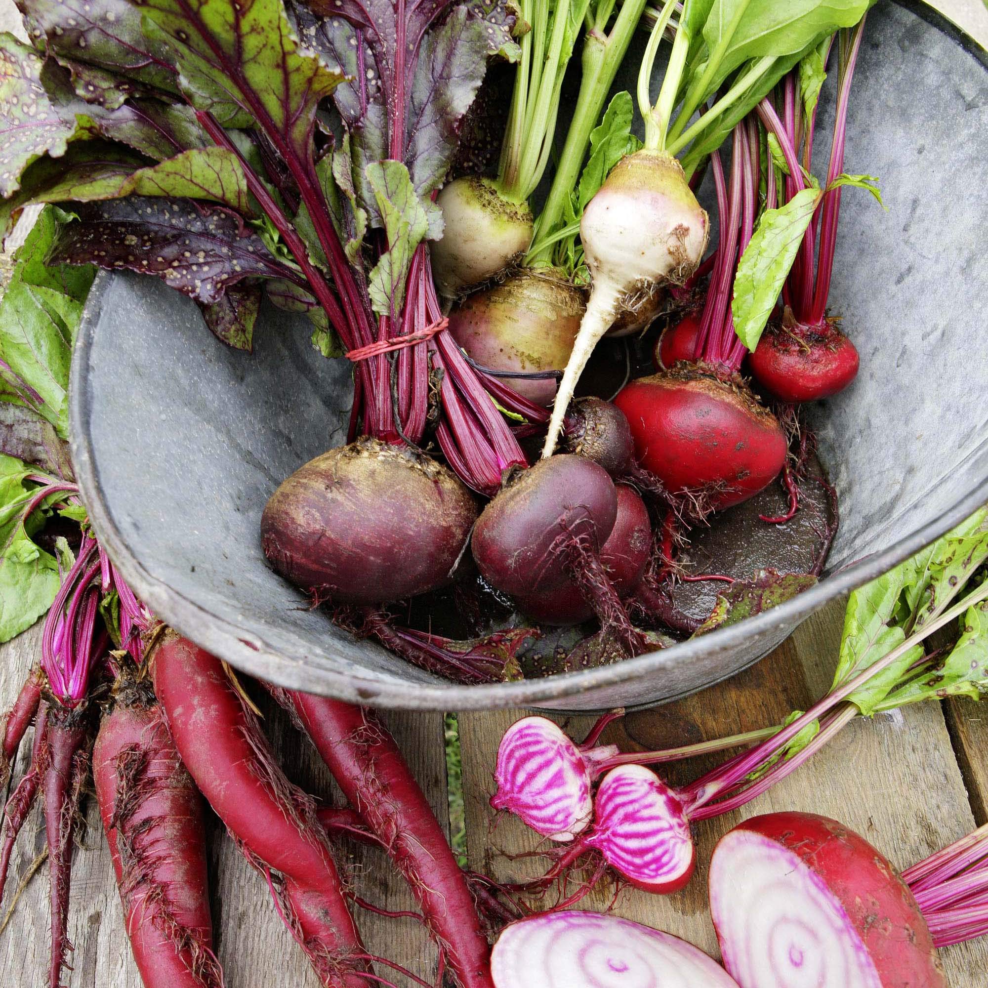 Gemüse und Kräuter im Garten - Naturnah gärtnern: alles, was man als Selbstversorger wissen muss + Für Garten und Balkon + Sortenkunde, Steckbriefe, Tipps für den Eigenanbau - nachhaltig, biologisch