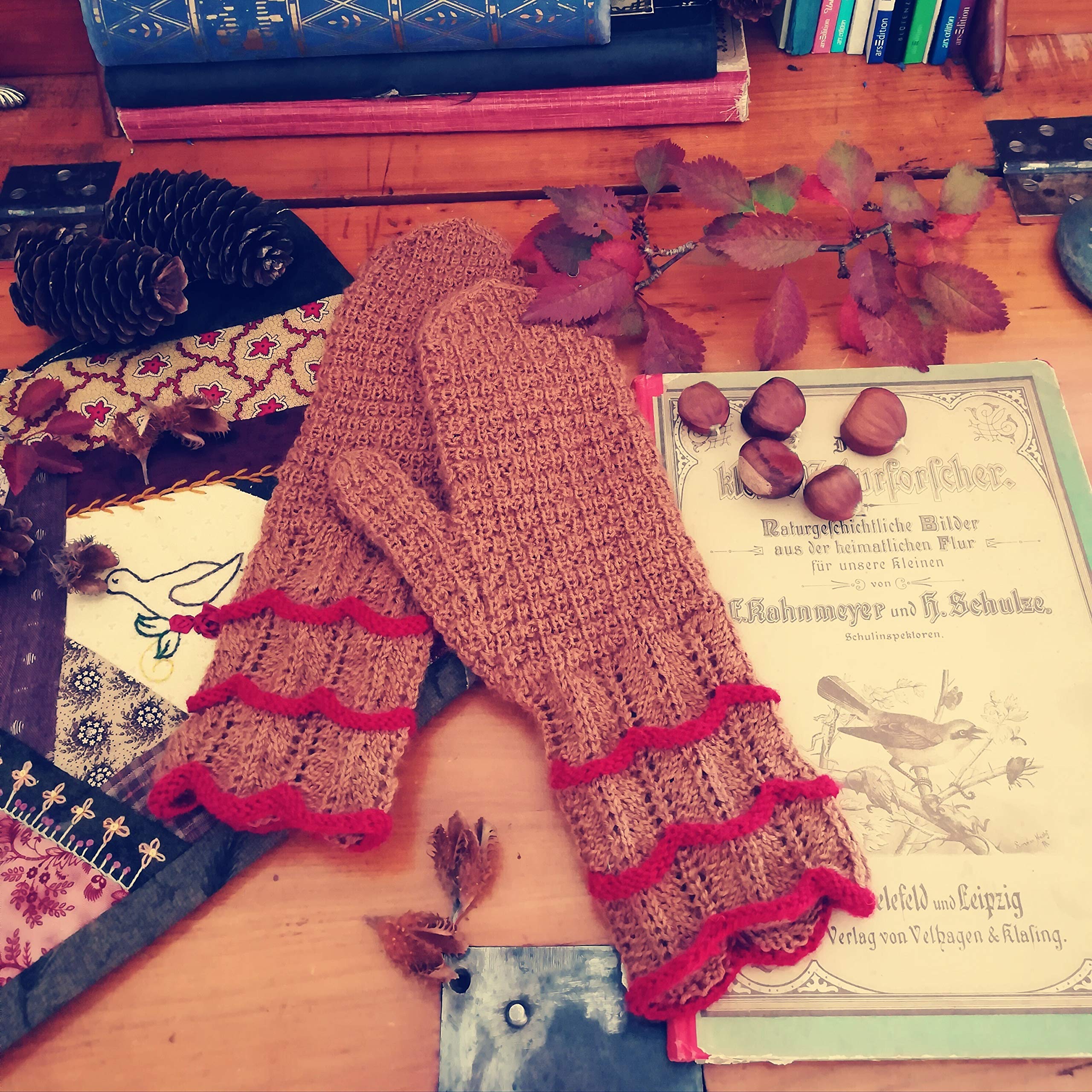 Eine Viktorianische Strickreise: 14 Designs, inspiriert von Jane Eyre