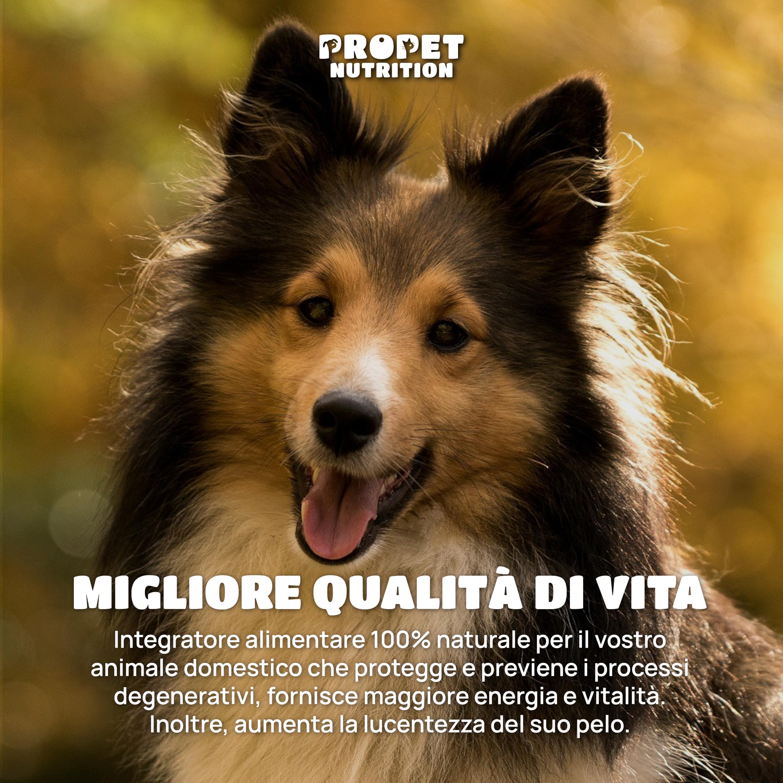 Vitamine per Cani e Gatti 20 in 1. Omega 6, Probiotici e Glucosamina. Integratore Completo Ricco di Vitamine A, B, C, H. Sistema Immunitario, Digestivo, Ossa, Articolazioni e Pelo. 100% Natural
