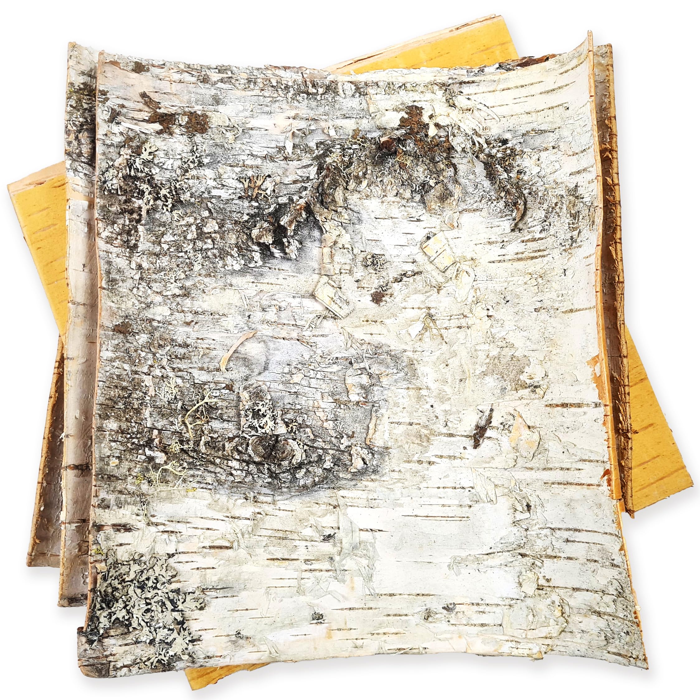 AEVVVWhite Birch Bark 4 Sheets 12"" x 12"" DIY Crafts, Natural Birch Tree Bark Slices to Make Your Own Wood Coasters, Decorative Candle Holder, Birch Candles, Birch Planter, Wooden