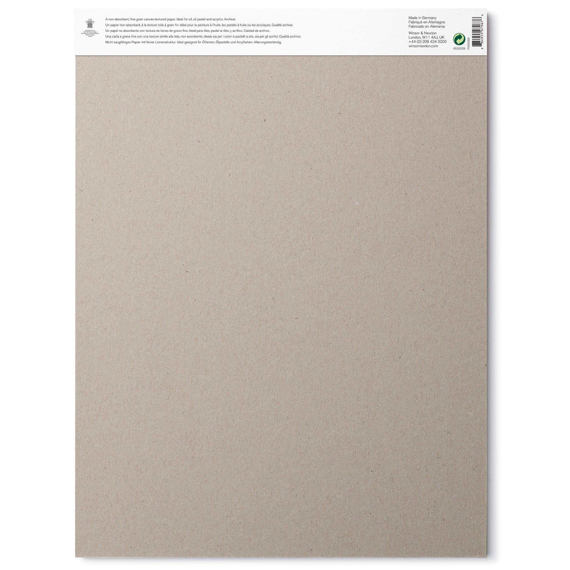 Winsor & Newton 6532009 Papier do malowania olejnego w bloku, 10 arkuszy 30,5 x 40,6 cm, 230 g/m², bezkwasowy, bez rozjaśniaczy optycznych, odporny na starzenie się farb olejnych, pasteli olejnych i
