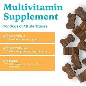 Solid Gold Dog Multivitamin – Bacon Flavored Dog Vitamins Chewable Supplement – Pumpkin & Probiotics for Digestive Support – Biotin for Healthy Skin & Coat – Vitamin C for Immune Support – 120 Count