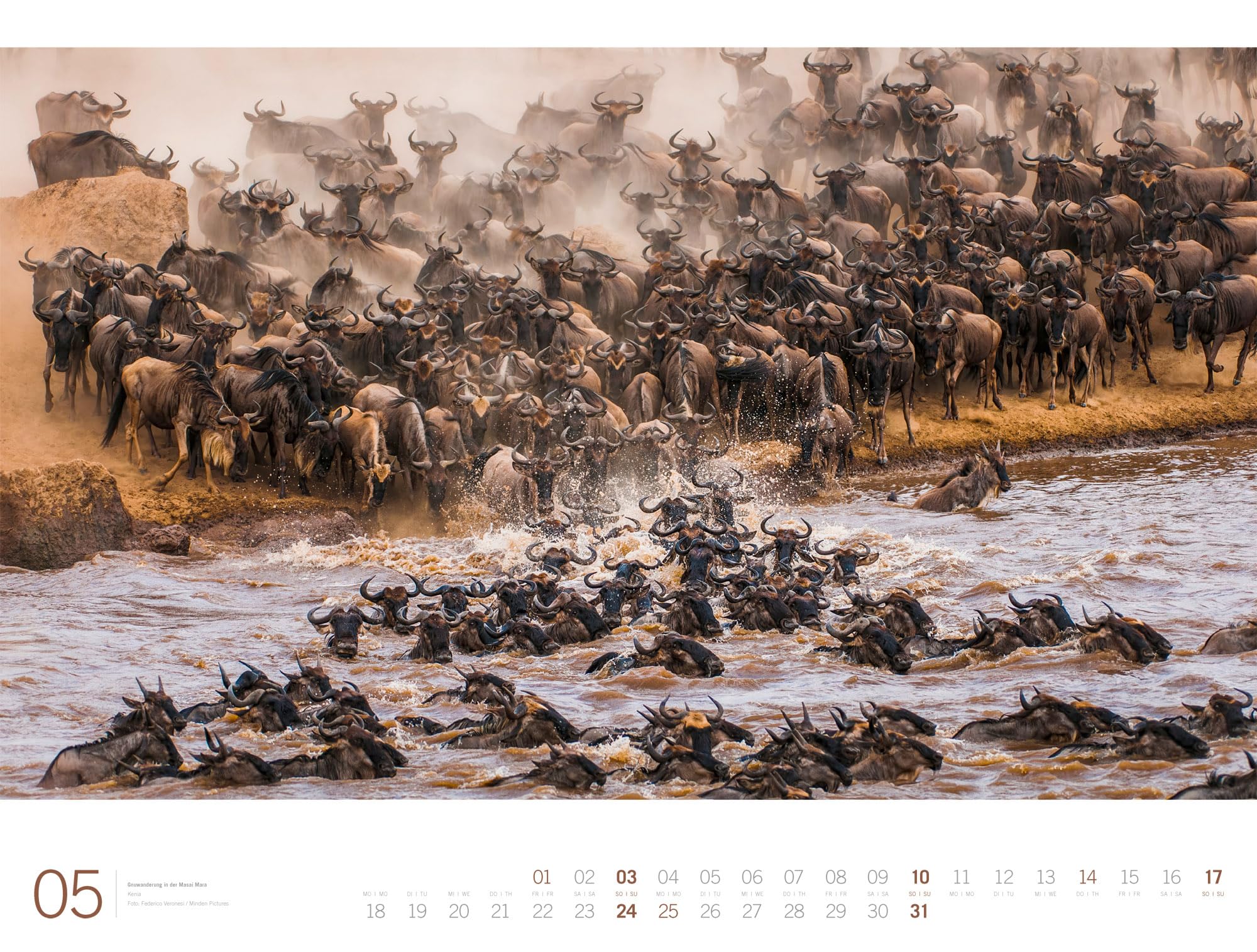 Afrika Gallery Kalender 2026: Bildgewaltiger Afrika-Kalender im großen Querformat (66x50 cm) | Tiere und Landschaft im Großformat