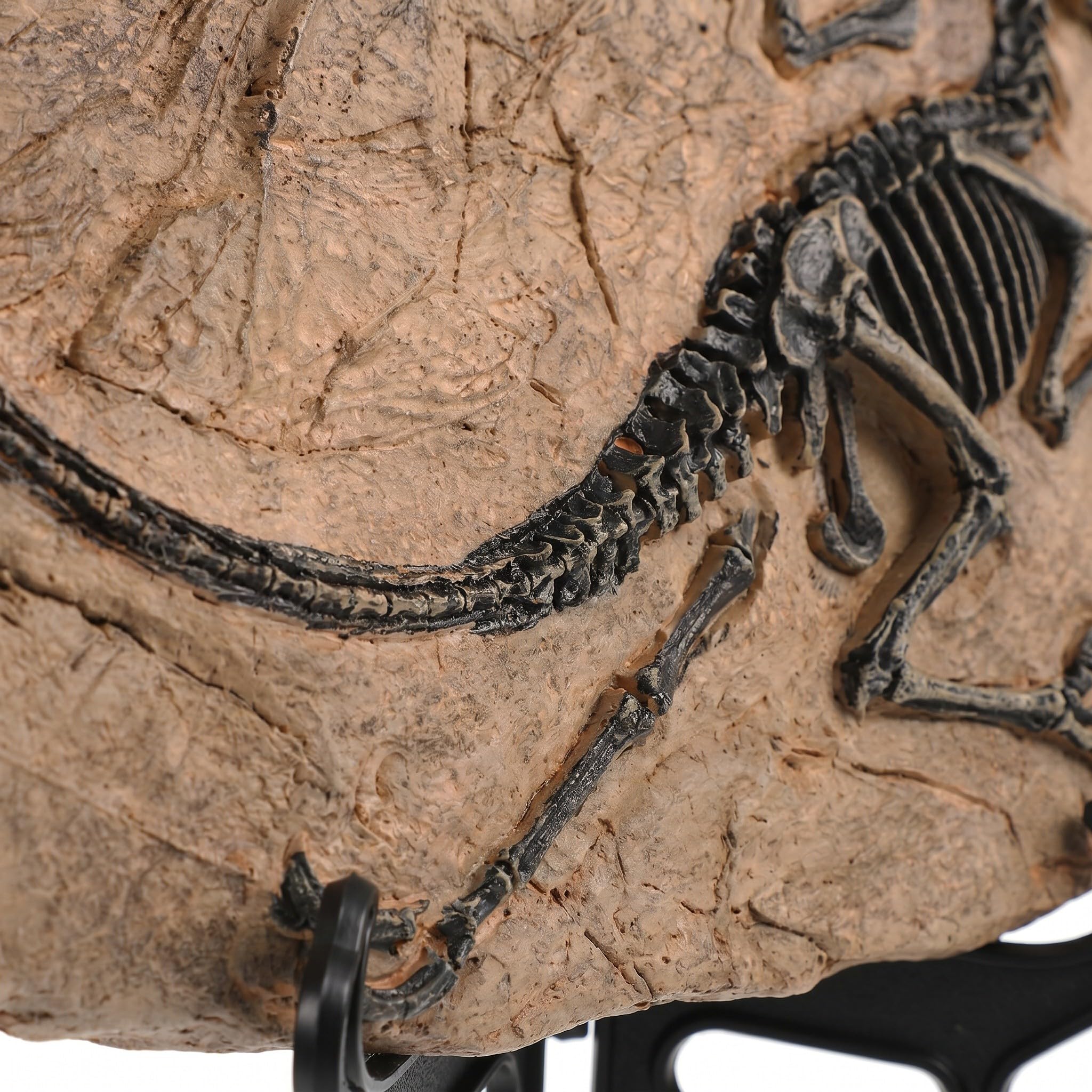 Toddmomy 2 szt. tabliczek z wizerunkiem szkieletu dinozaura na Halloween – realistyczne figurki z żywicy w kształcie kości tyranozaura do upiornego, prehistorycznego wystroju ogrodu – starożytne