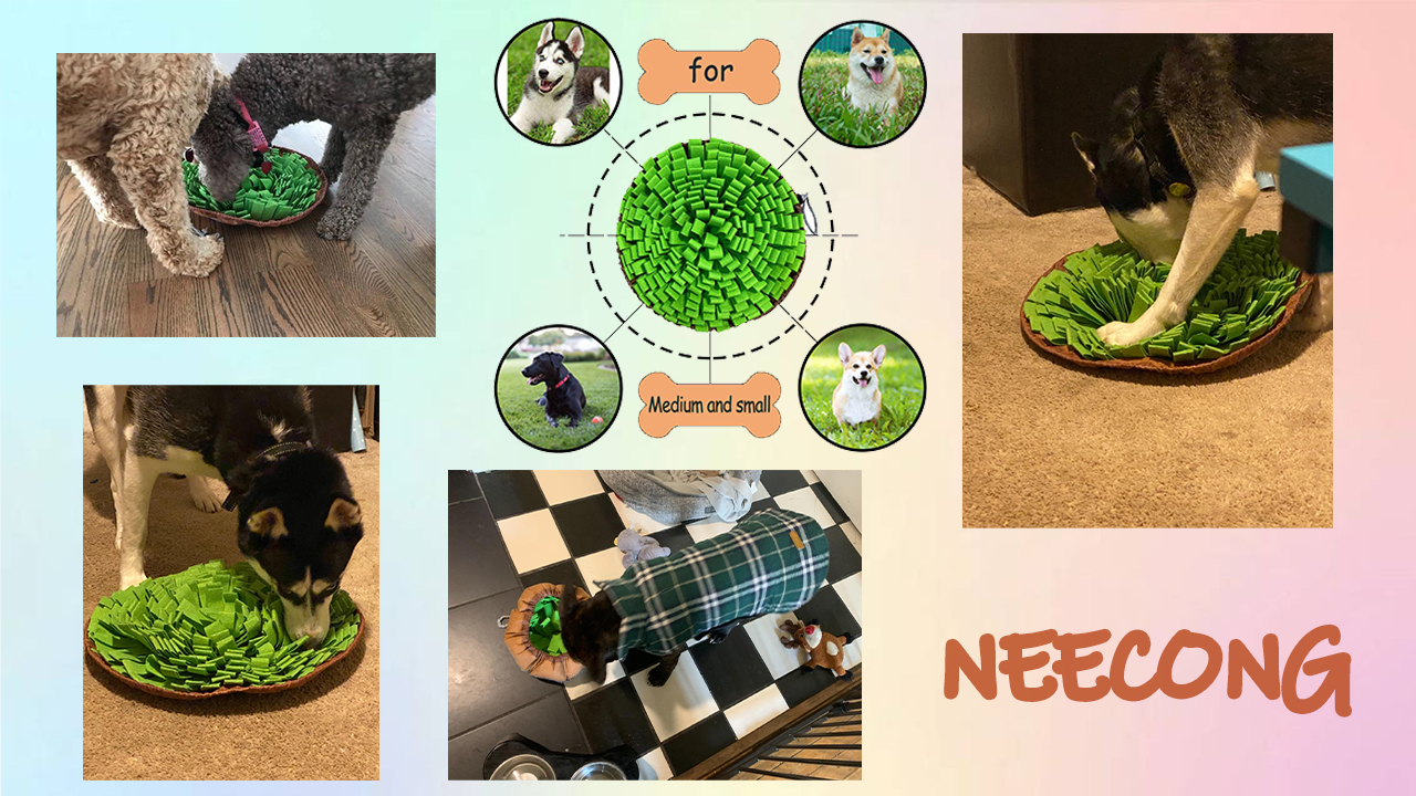 Pet Snuffle Mat for Dogs,Interactive Feed Puzzle for Boredom,Encourages Natural Foraging Skills for Cats Rabbits Dogs Bowl, Dog Treat Dispenser Indoor Outdoor Stress Relief,Travel Portable and Compact - image 8