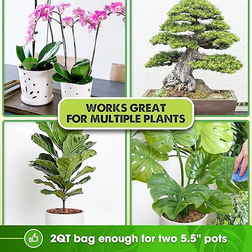 Miniatura 5 de Corteza de orquídea, corteza de orquídea fina para plantas, corteza de textura óptima para orquídeas, astillas de madera ideales para plantas (2