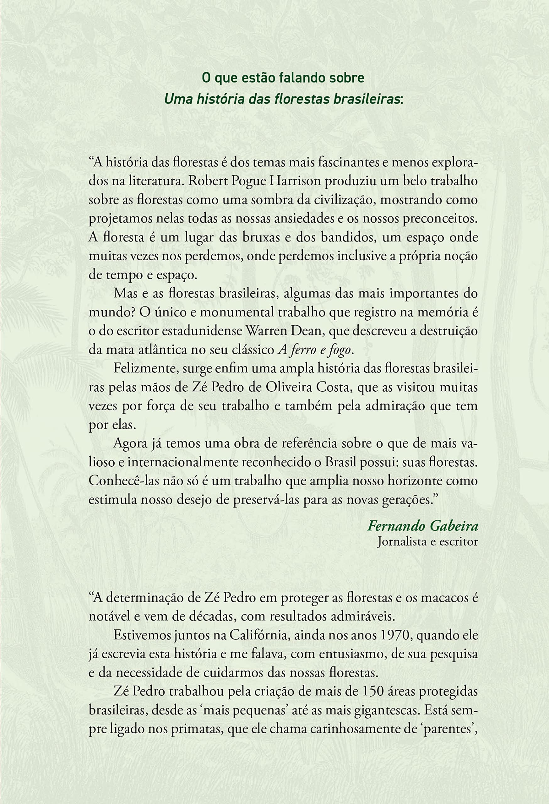 História das florestas brasileiras