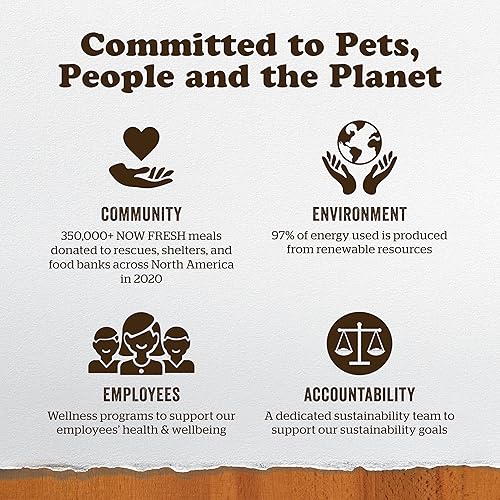 Miniatura 11 de Now Fresh Alimento para gatos sin granos, 3 libras, receta de comida seca para gatos adultos con carne real y pescado para proteínas