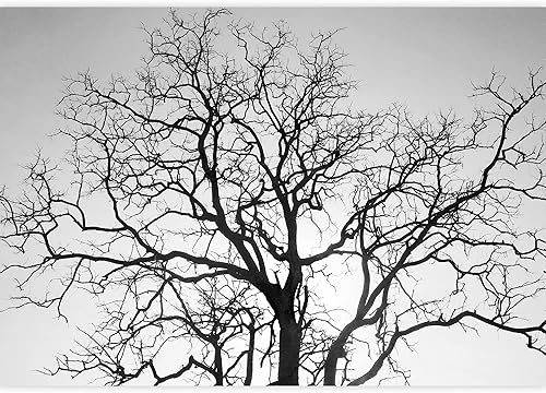 Miniatura 2 de Wall26 - Mural de pared grande - Hermosa y pacífica vista de bambúes verdes que crecen en el bosque | Papel pintado de vinilo autoadhesivo/Arte de