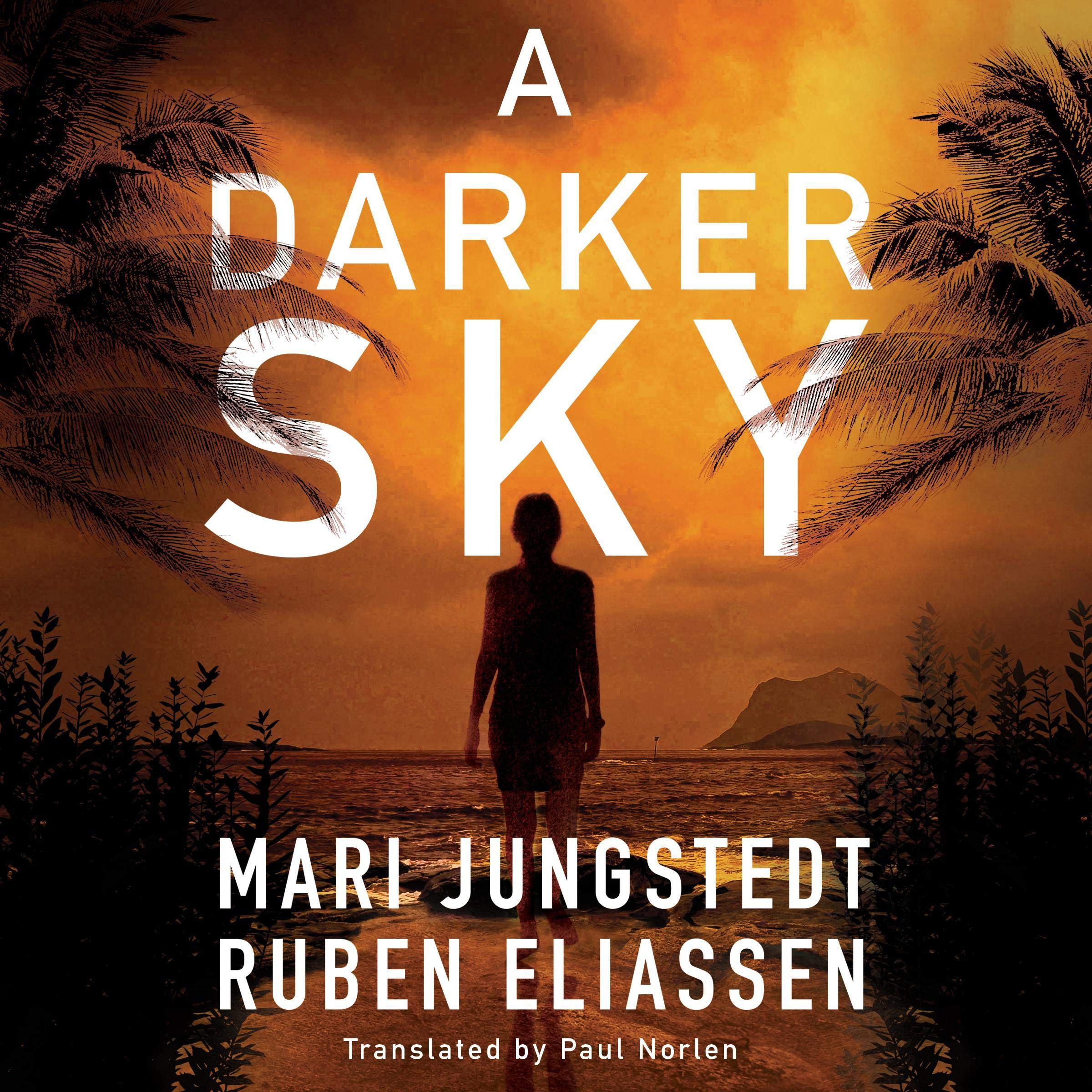 Cover art for A Darker Sky