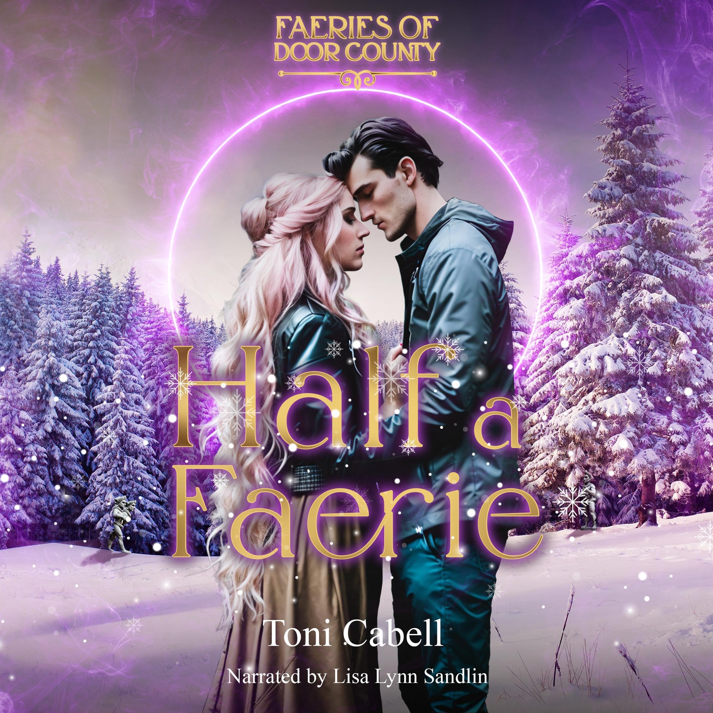 Cover art for Half a Faerie