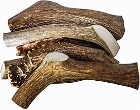 antler skyline 2 piece luggage