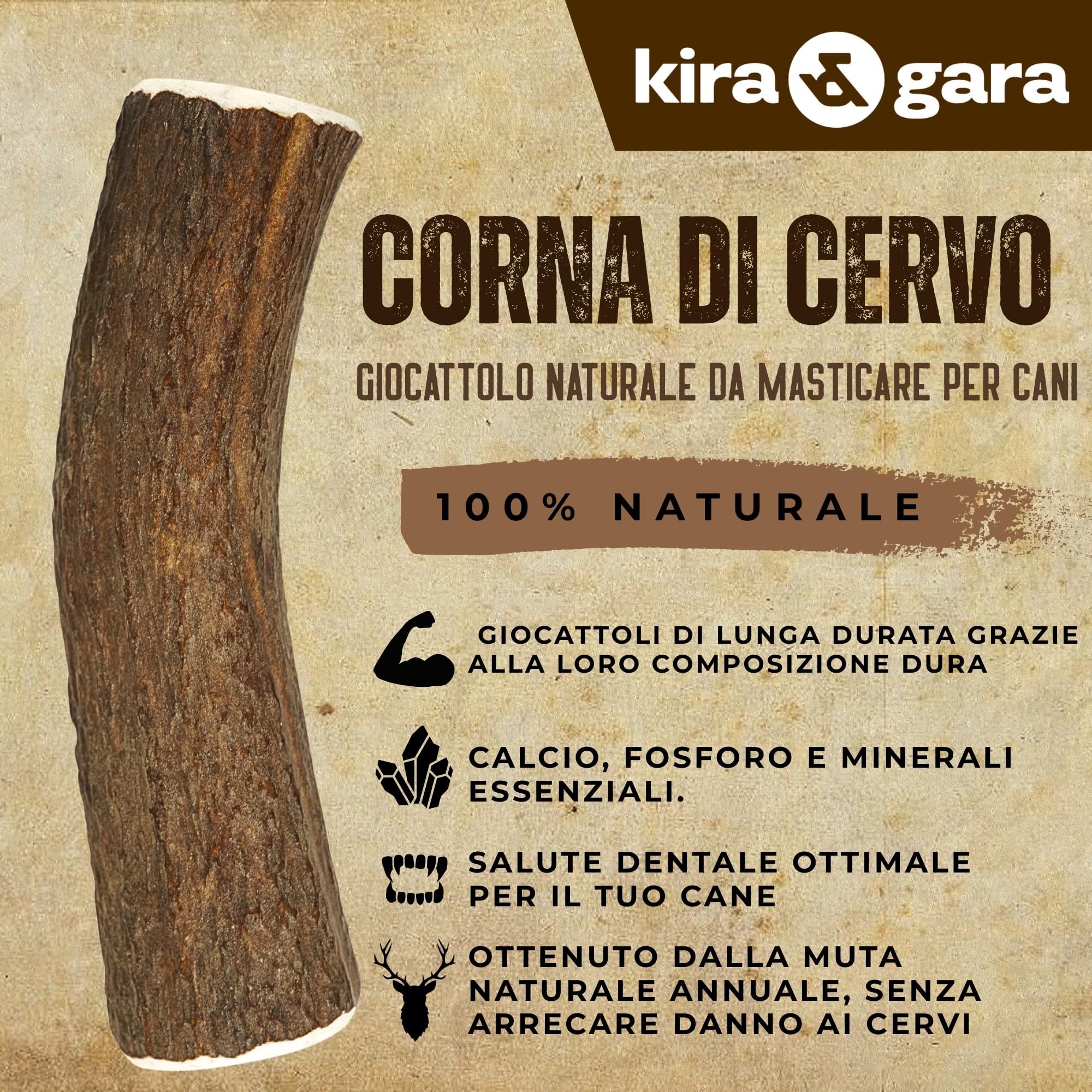 Corno di Cervo Naturale per Cani | Masticatore Dentale Duraturo | Origine Naturale, Senza Additivi | Kira&Gara® (XL - 200-240g, Pack de 1)
