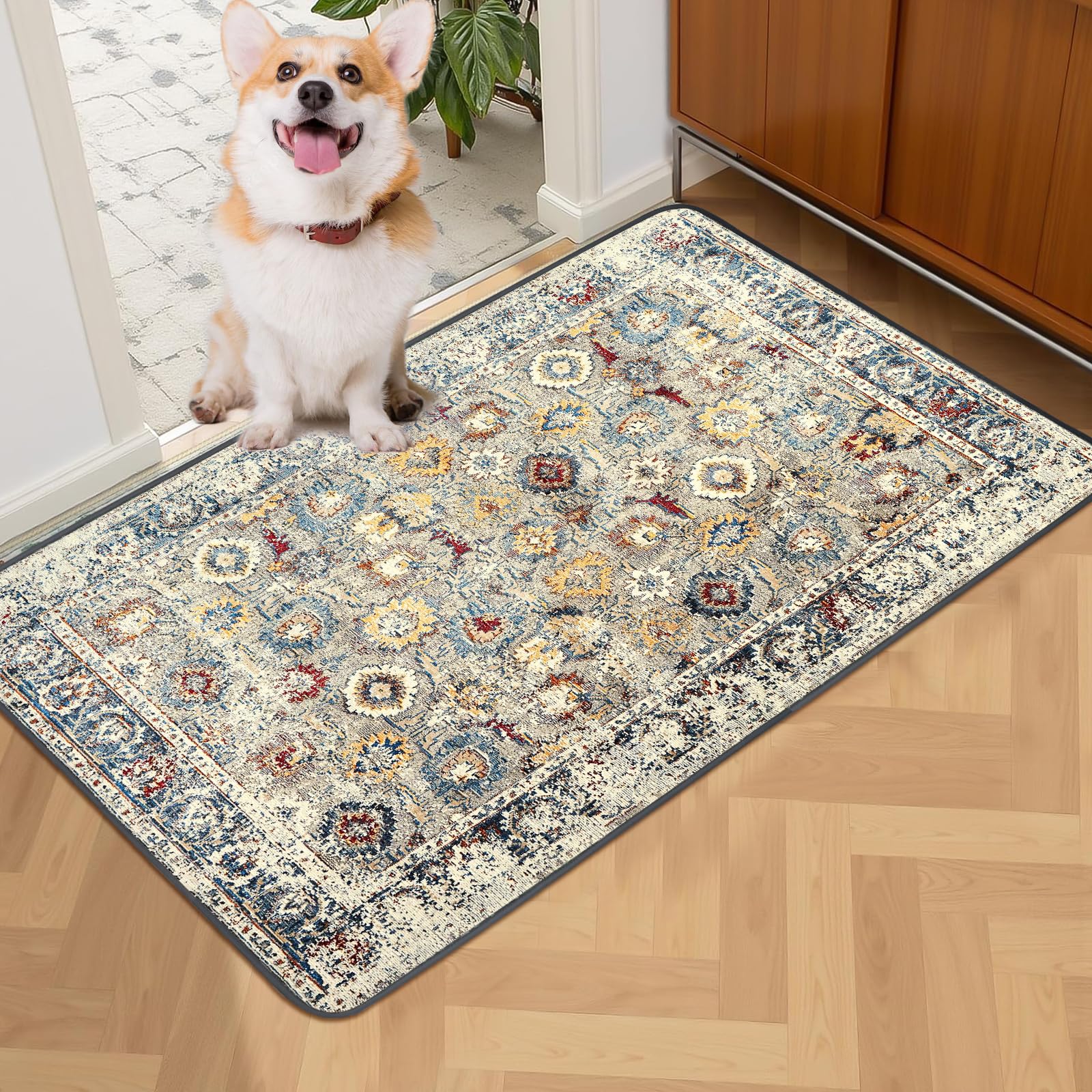 SCLOSE Washable Pee Pads for Dogs 2 Pack, 36