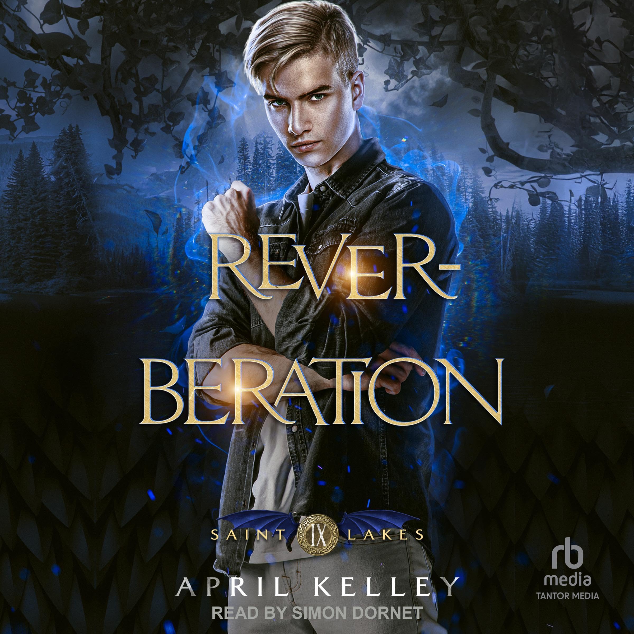 Cover art for Reverberation