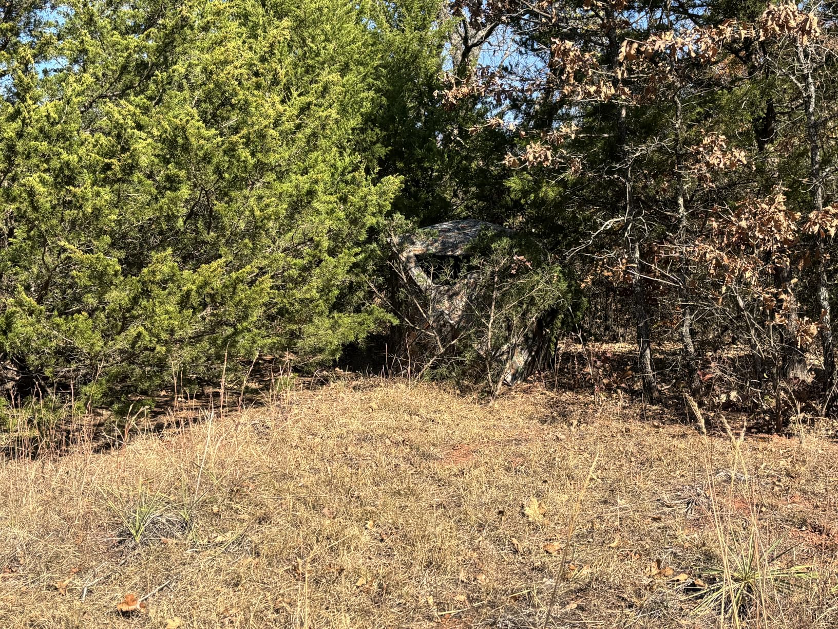 Lenotos 360 Blind set up in hunting location