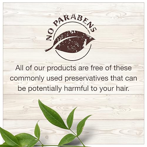 Miniatura 3 de Garnier Whole Blends - Tratamiento acondicionador sin enjuague de argán marroquí de origen sostenible y extracto de camelia, para cabello opaco, 5.1