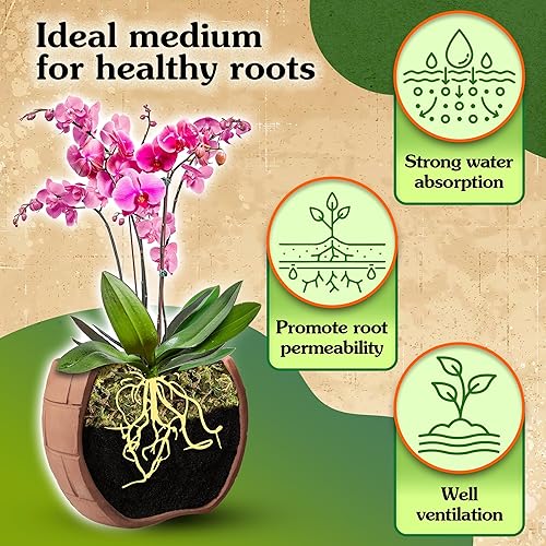 Miniatura 4 de WEMOSS Musgo natural para plantas de interior, musgo seco para plantas en maceta, musgo de orquídea para trasplantar, musgo de bosque para mezcla de