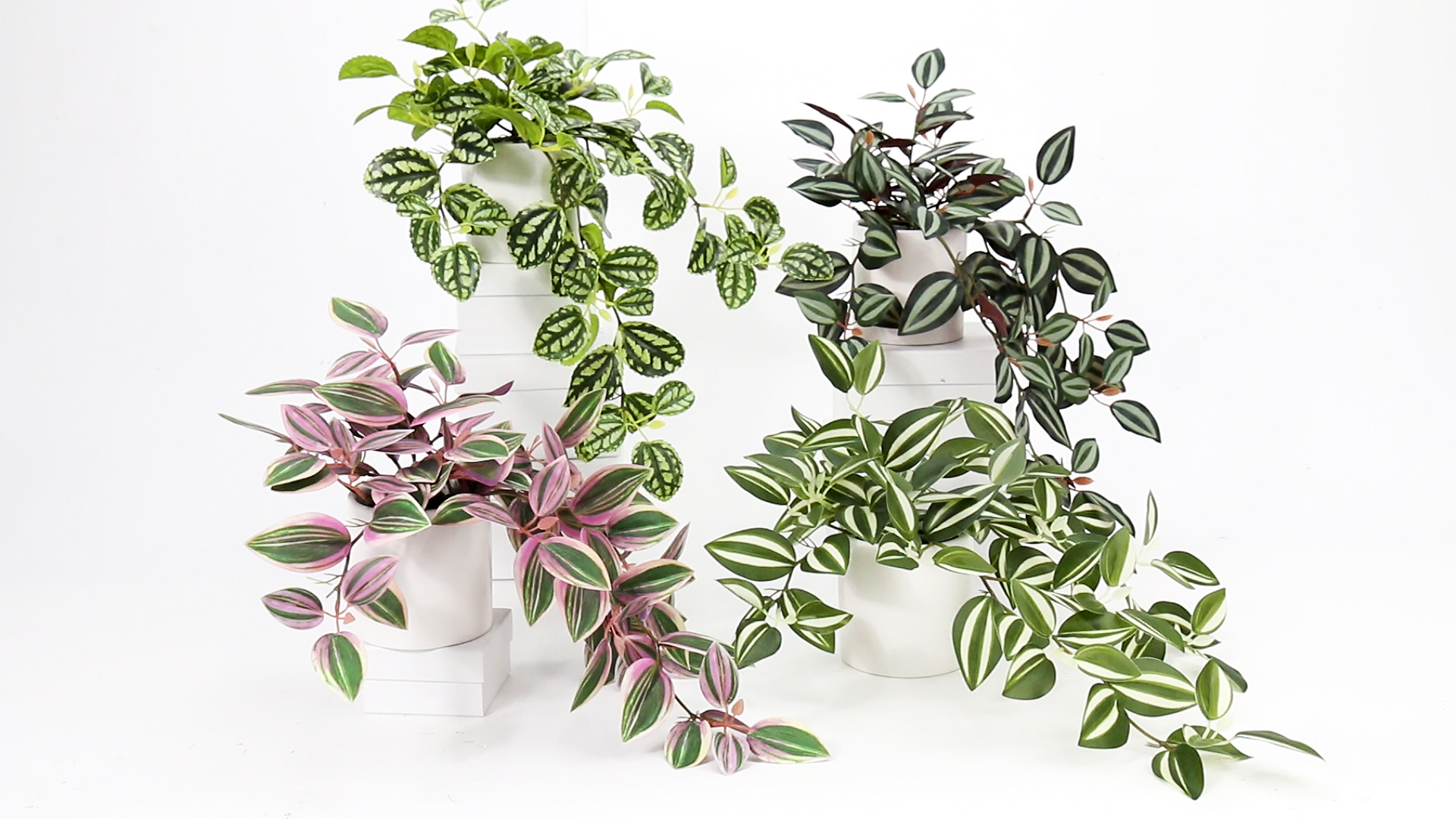 Amazon.com: GnFlus Fake Hanging Plants in Ceramic Pot, 20 Inch