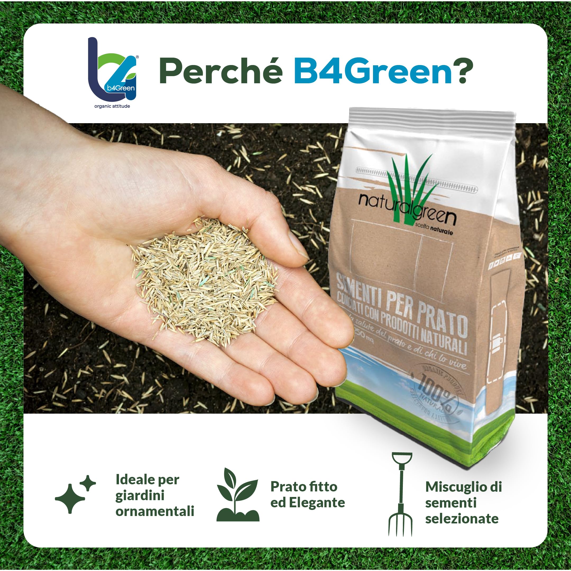 B4GREEN Semi Prato Inglese Professionale (250m²) – Sementi per Prato Ornamentale a Tessitura Fine per Giardino di Pregio – Tappeto Erboso Fitto, Elegante e Verde Brillante – Copertura fino a 250m² 7kg