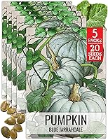 Vista 14 de Seed Needs Semillas de calabaza para plantar calabazas Jarrahdale azules, reliquia sin OMG y semilla de Cucurbita Maxima sin tratar para plantar un