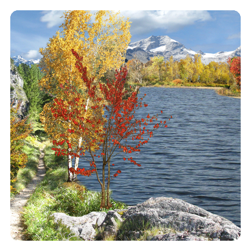 Season Fall Live Wallpaper - App on Amazon Appstore