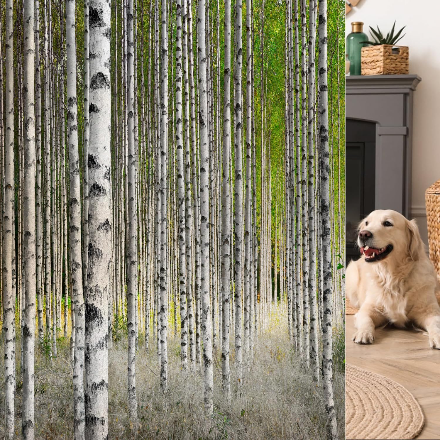 Decorative Window Privacy Film, Heat Control Sun Blocking UV Protection, Birch Forest Design Static Cling, Non Adhesive Windows Tint for Bathroom Front Door 90x200cm/35.4x78.7in