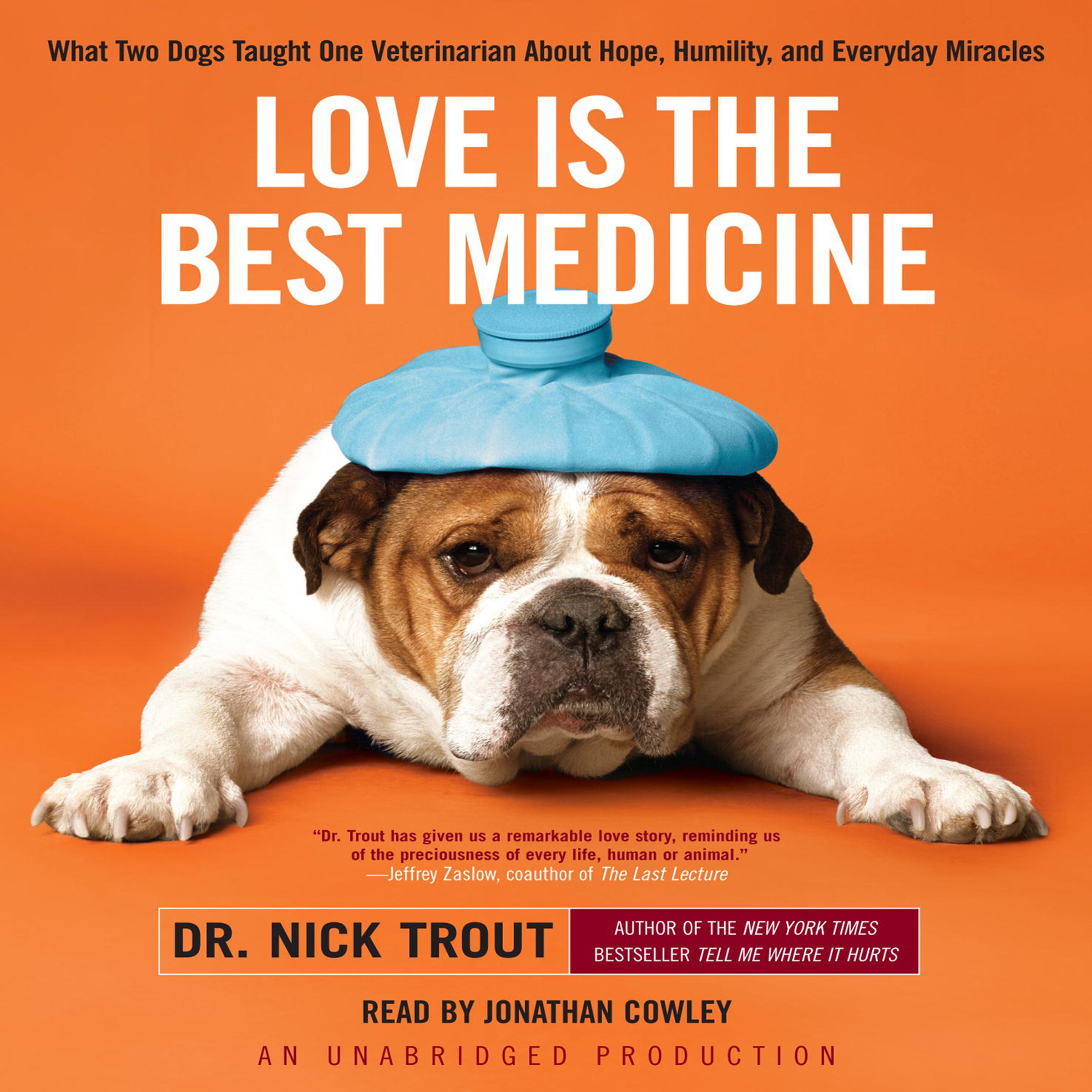 Cover art for Love Is the Best Medicine