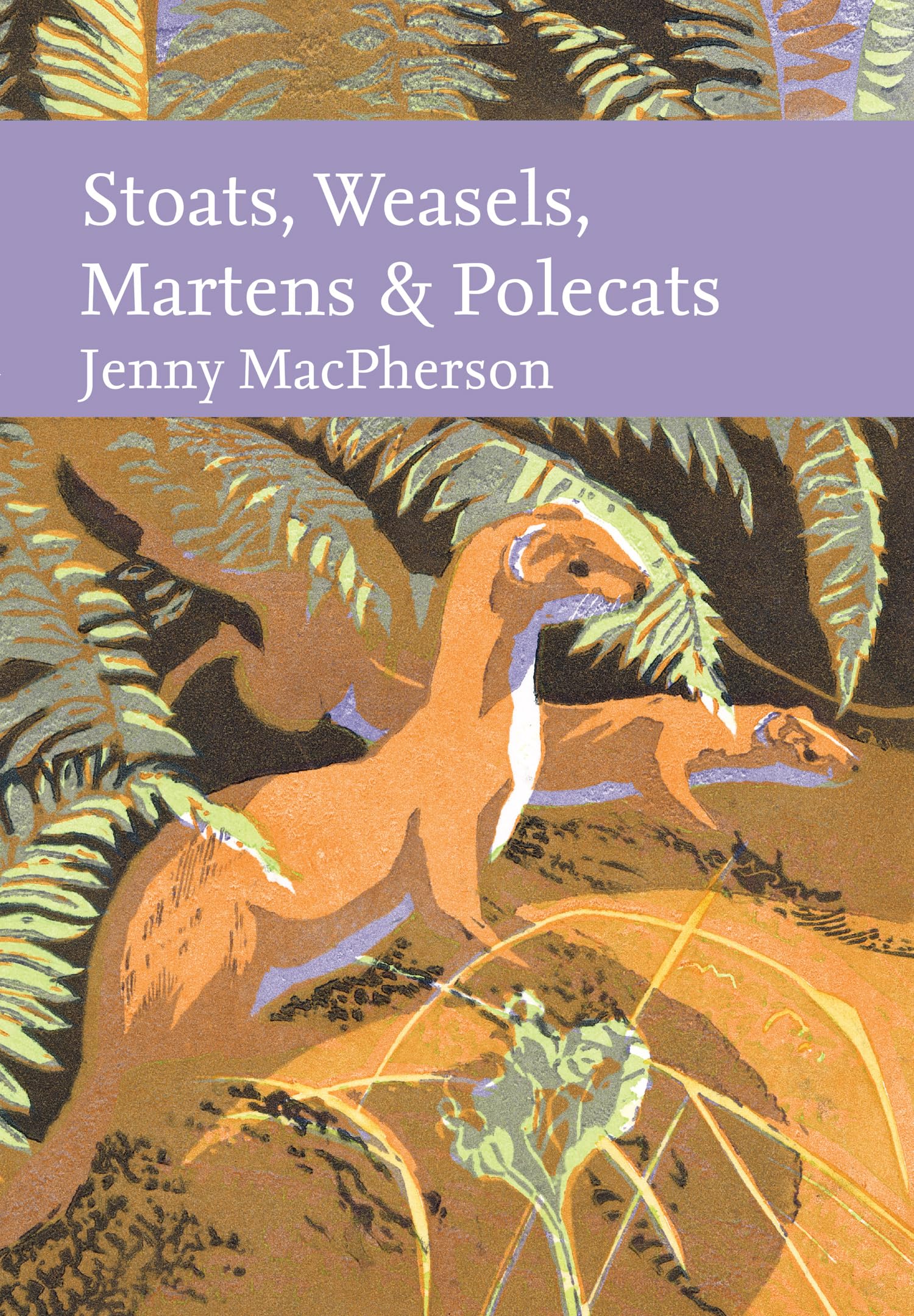 Stoats, Weasels, Martens and Polecats by Jenny MacPherson (Hardback Book)