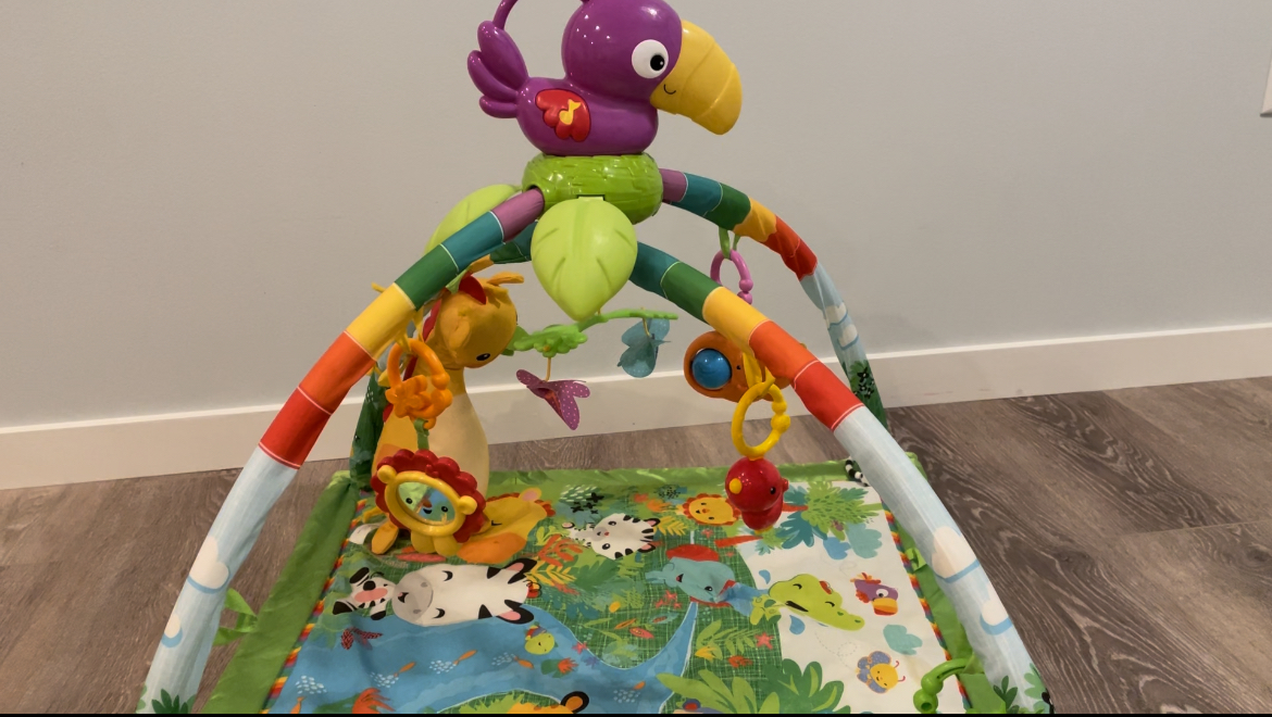 Watch Watch Before You Buy. Fisher Price Rainforest Baby Playmat on Amazon Live