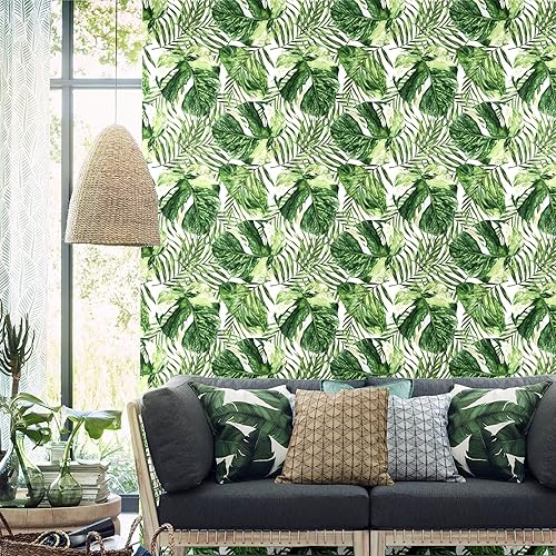 Miniatura 2 de Blooming Wall DPYA27 - Papel tapiz removible de hojas de Monstera de color verde y blanco fresco, autoadhesivo, extraíble, decoración de pared