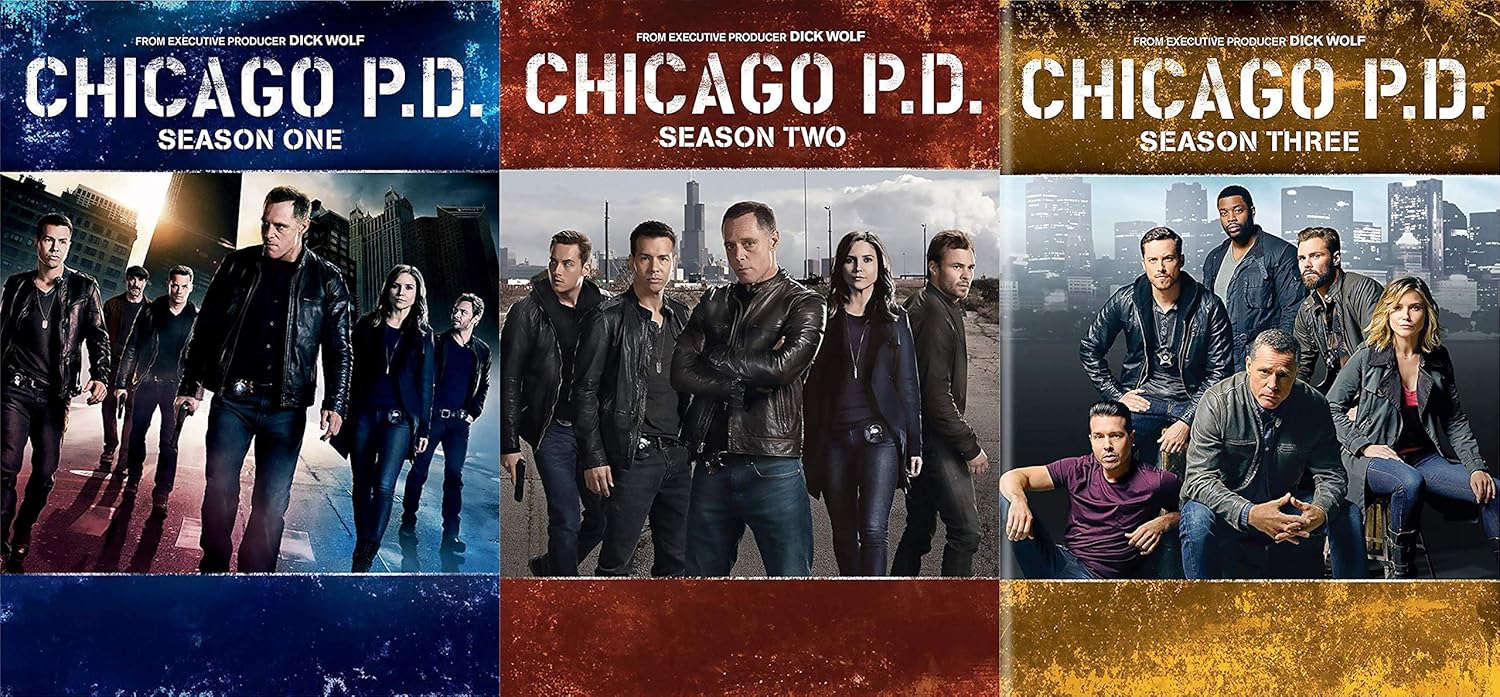 series parecidas com chicago pd