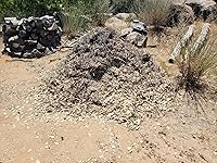 Review Image by Paul Felber Paul Felber