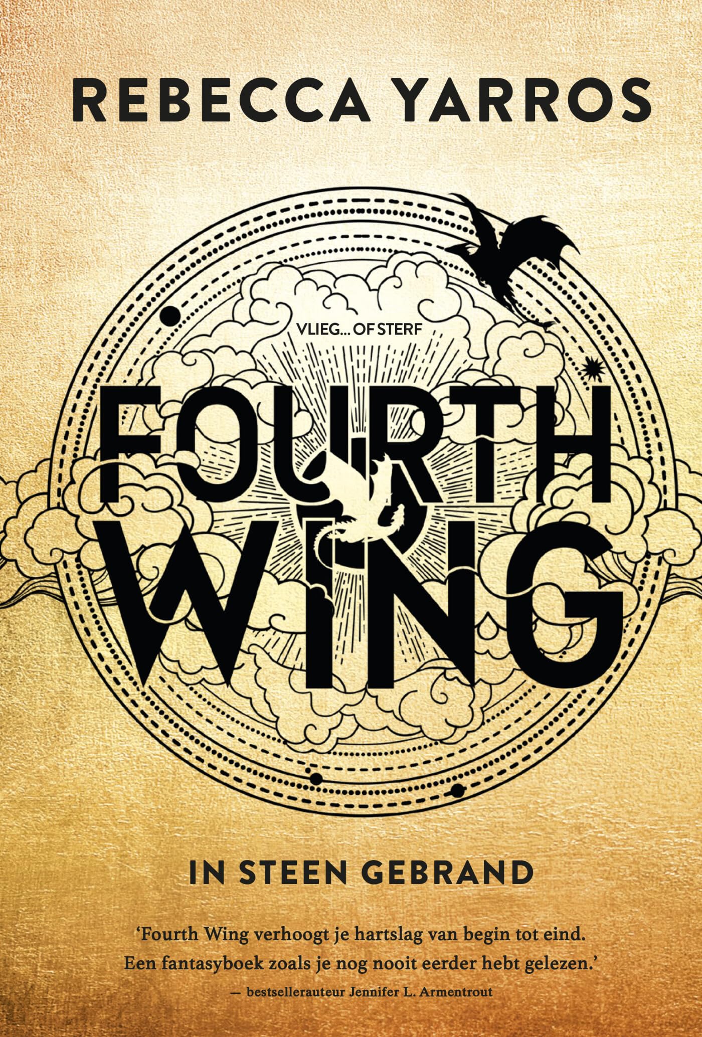 In steen gebrand (Fourth Wing) (The Empyrean, 1)