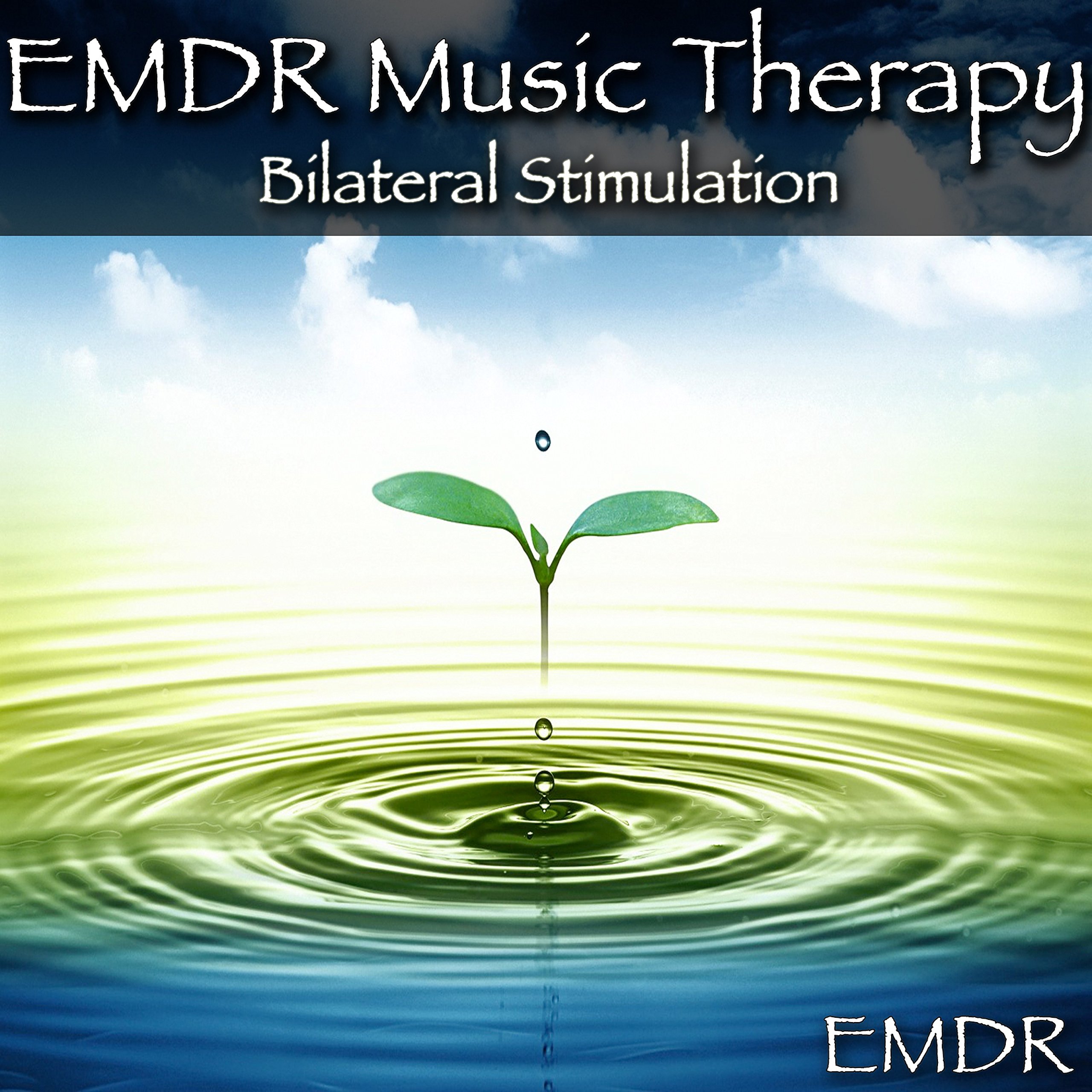Emdr