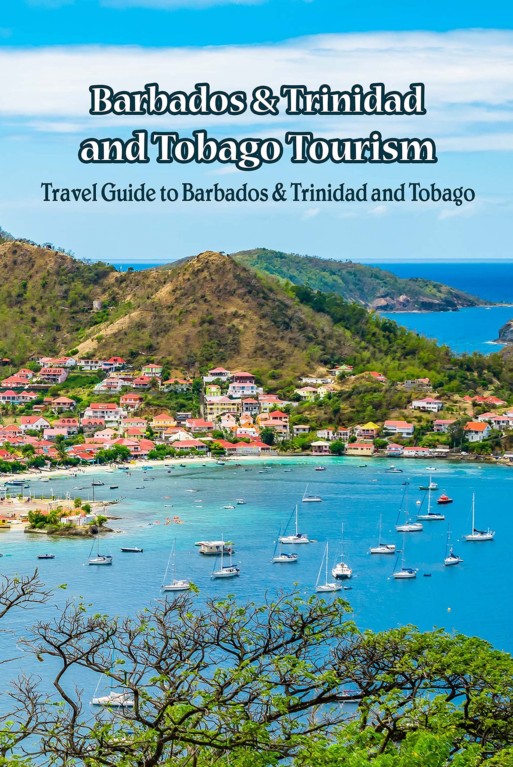 Buy Barbados & Trinidad and Tobago Tourism: Travel Guide to Barbados ...