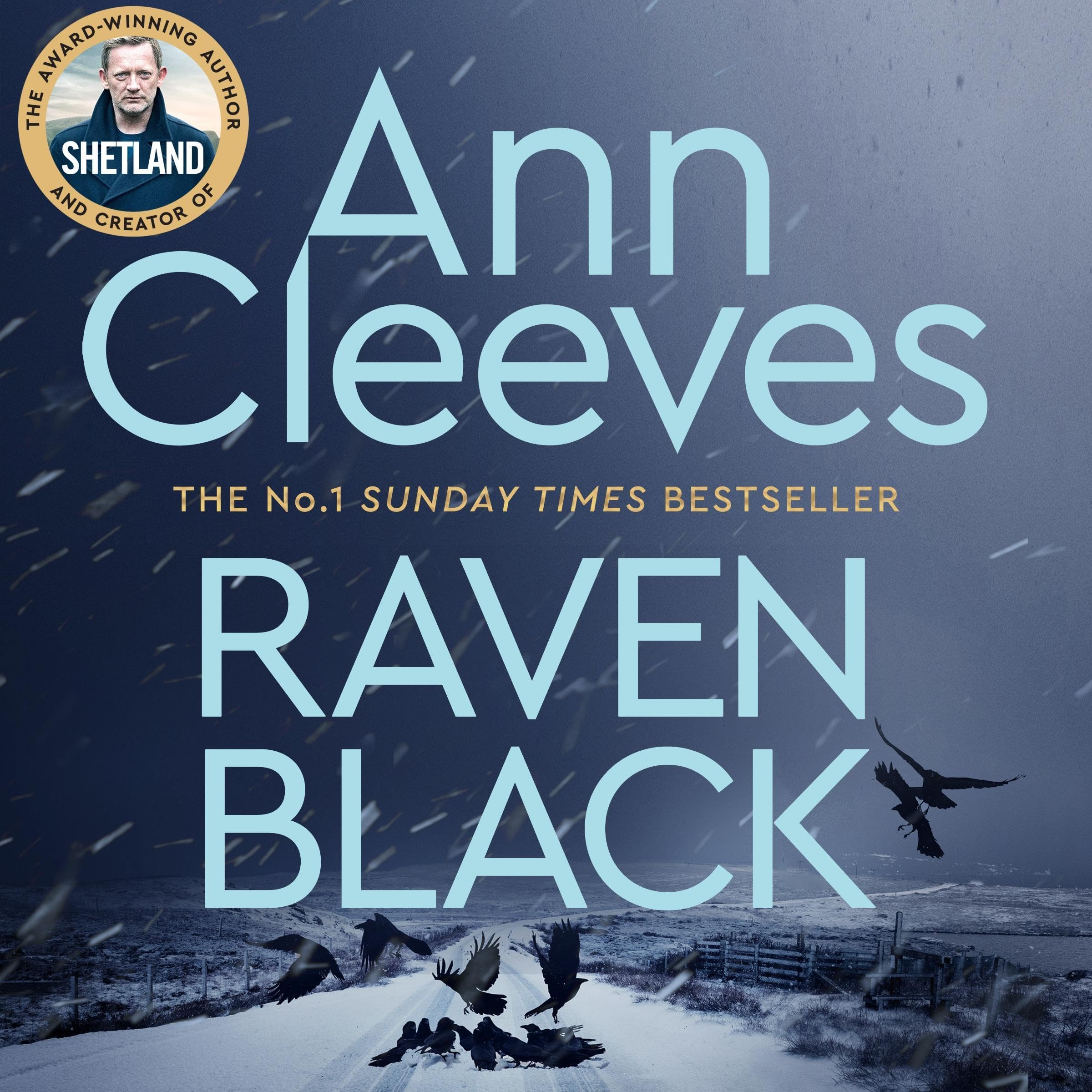 Cover art for Raven Black: The Shetland Series 1