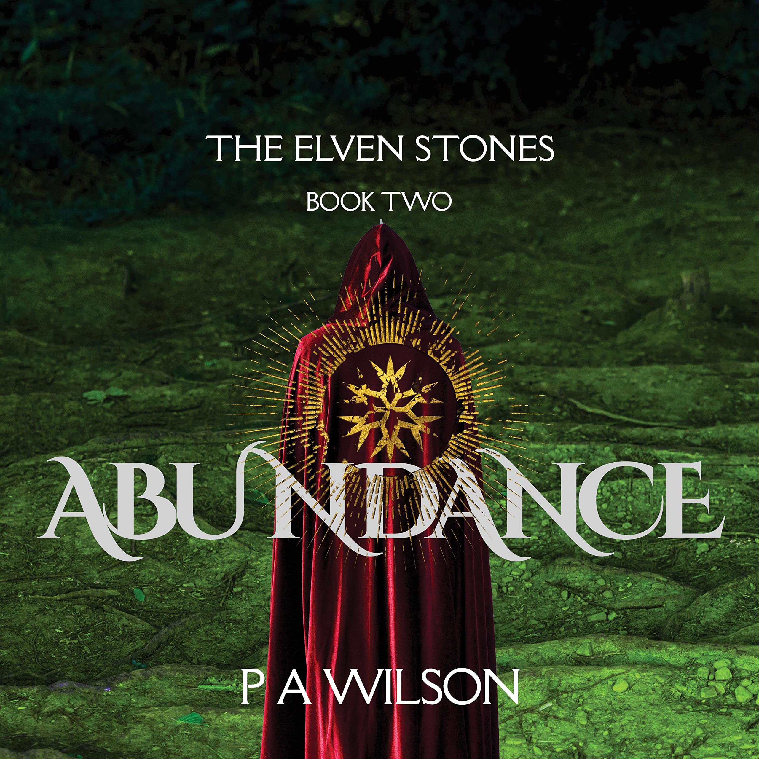 Cover art for The Elven Stones