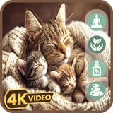 Suave música de cuna, perfecta para dormir y relajarse