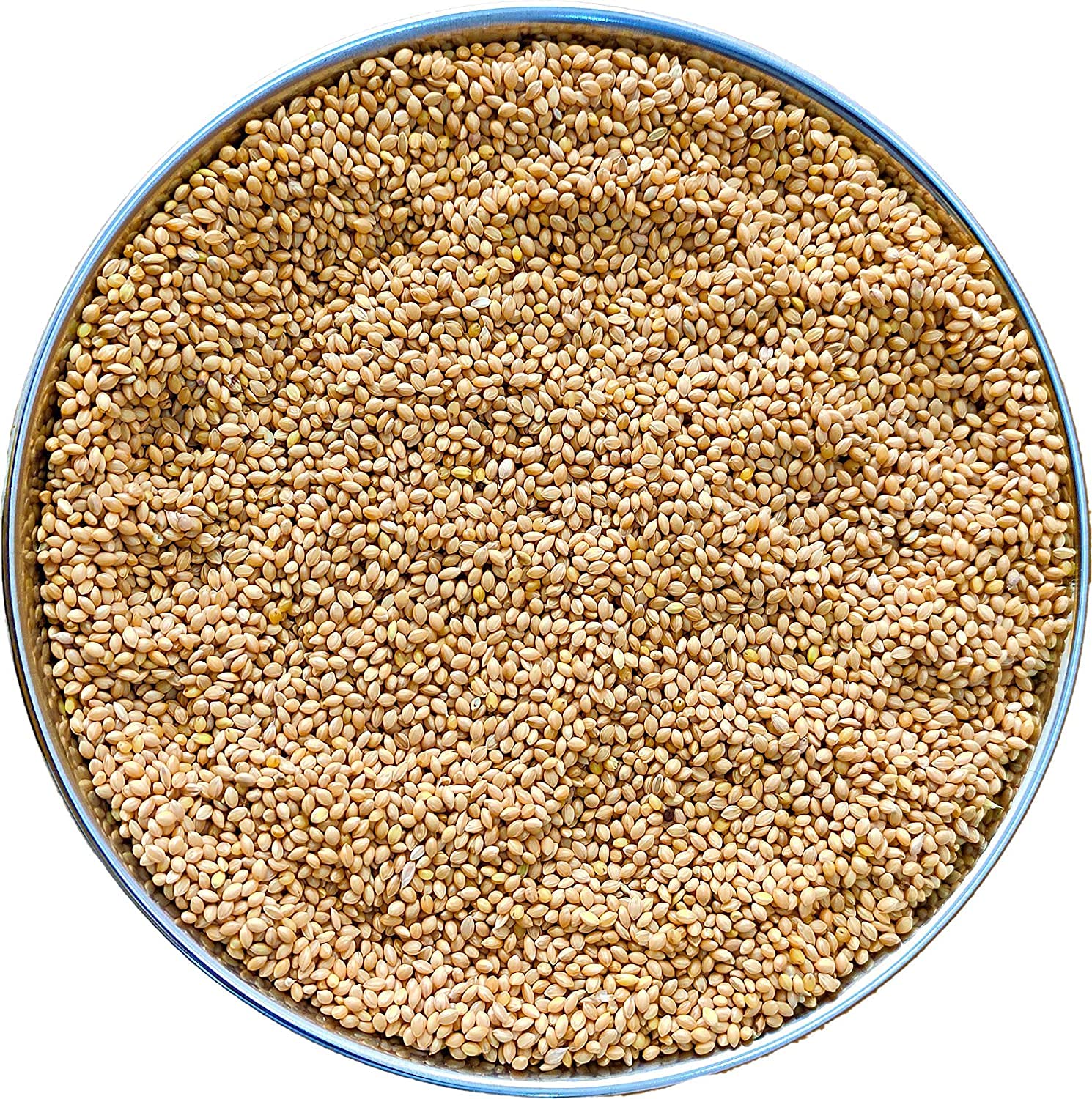 PADAMJYOT Kangni Seeds | Foxtail Millet | Bird Food for All Life Stages Canary, Finches, Waxbills, Budgies, Lovebirds, Cockatiels, Parrots & Parakeets (2 KG) (5) (B0C2CXDD3X) Amazon Price History, Amazon Price Tracker